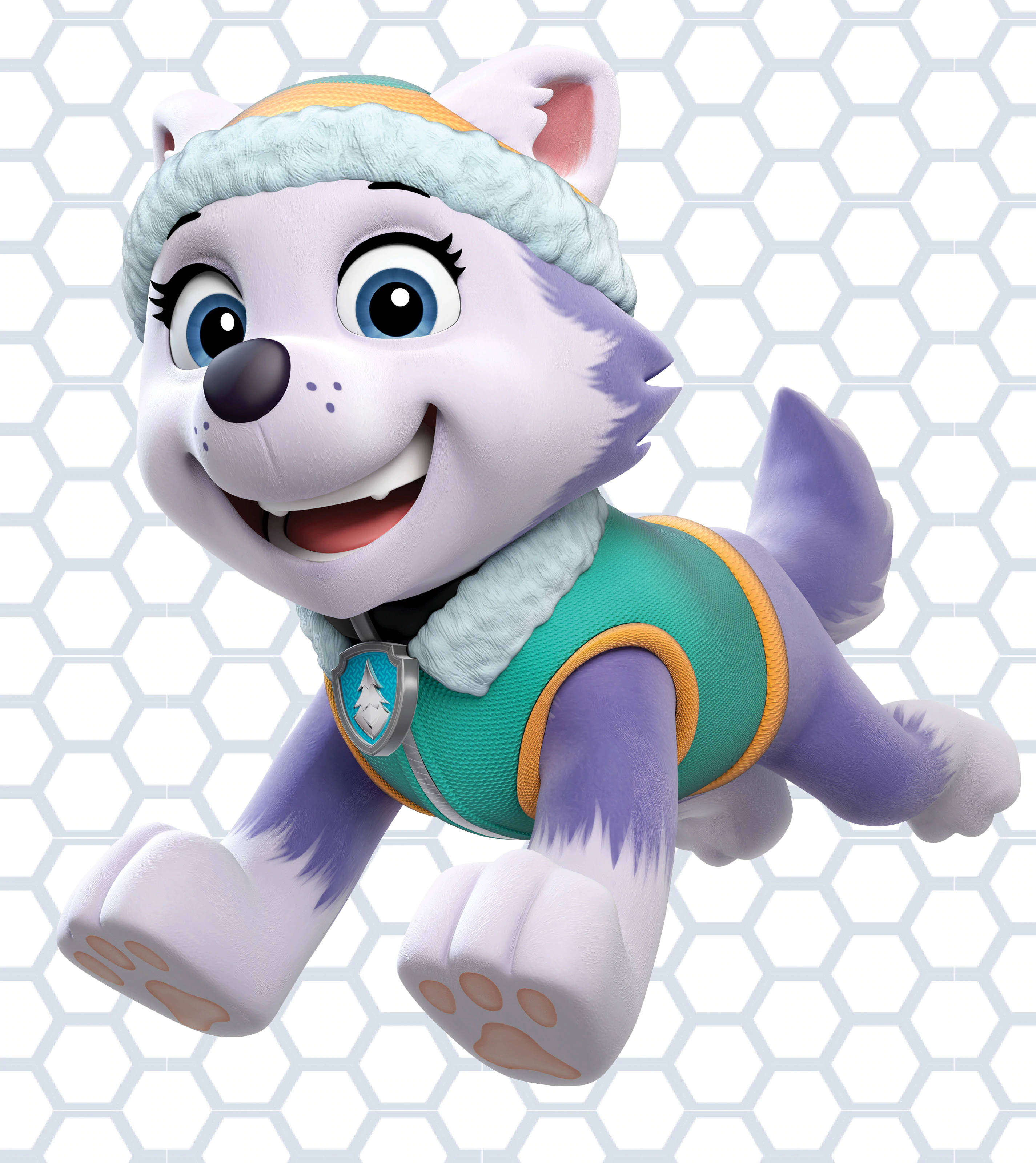 Paw Patrol Everest Muurpapier