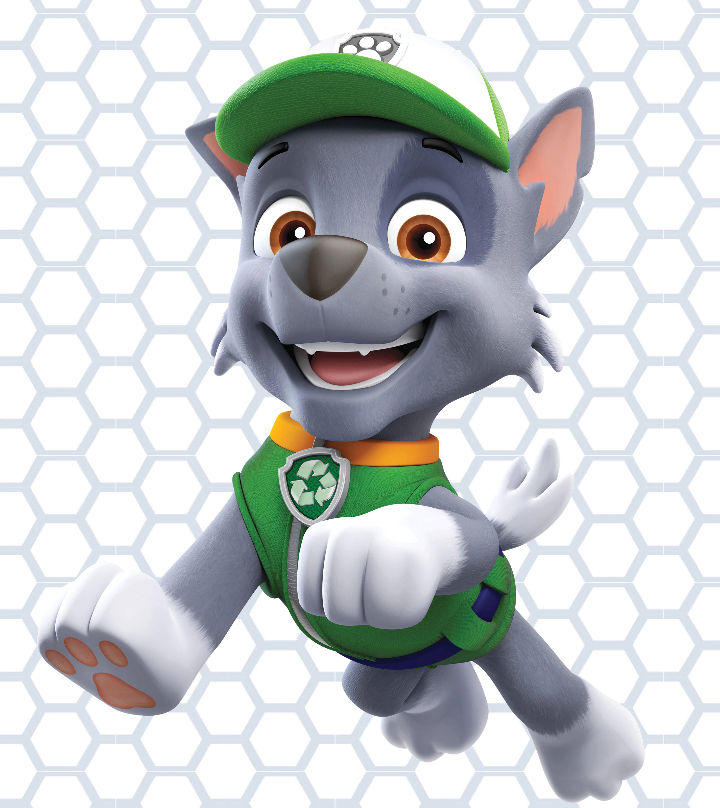 Paw Patrol Rocky Muurpapier