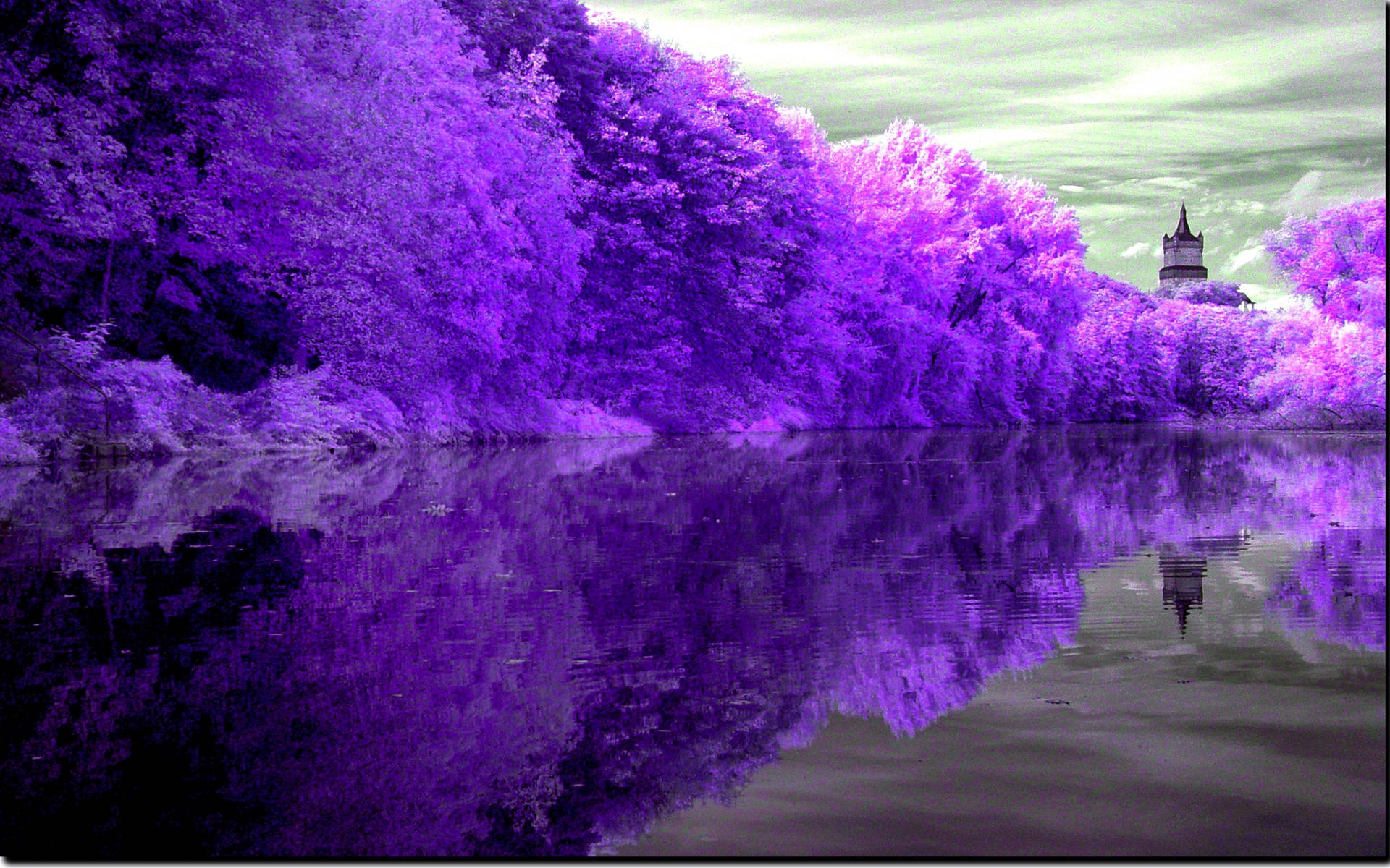 Pers Meer Refleksie Muurpapier