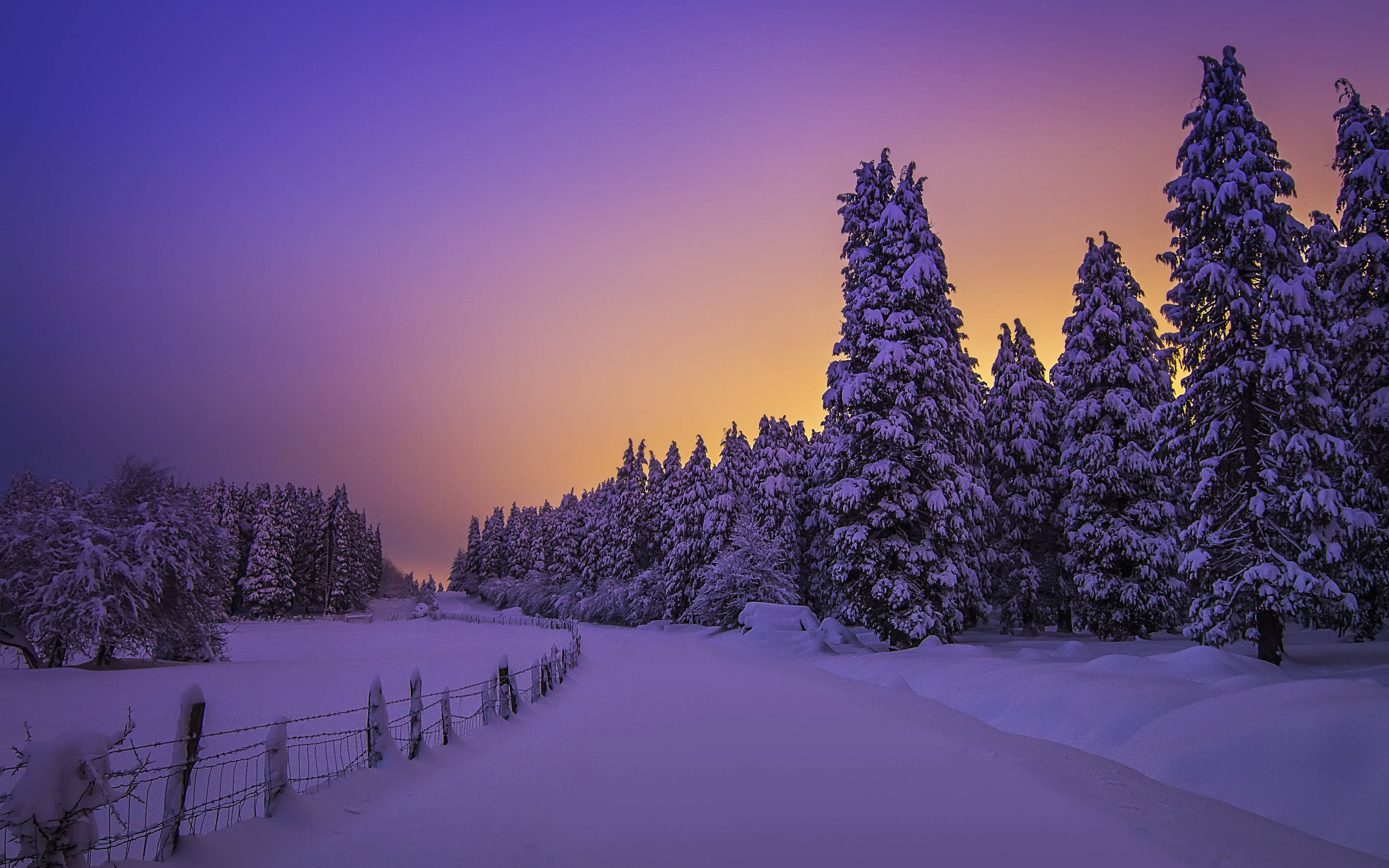 Pers Sonskyn Winter Estetika Muurpapier