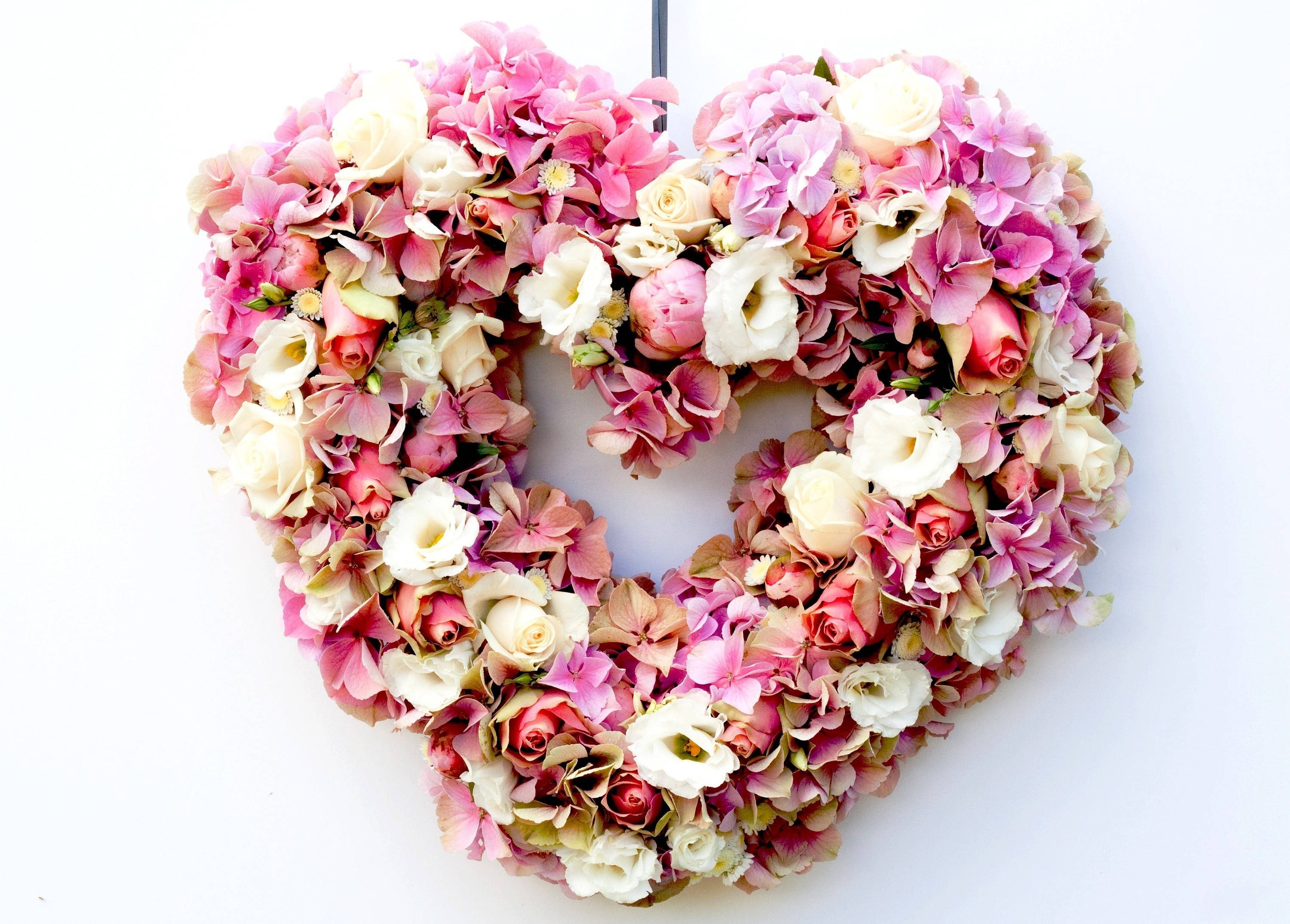 Pienk Blomhart Vir Valentynsdag Muurpapier