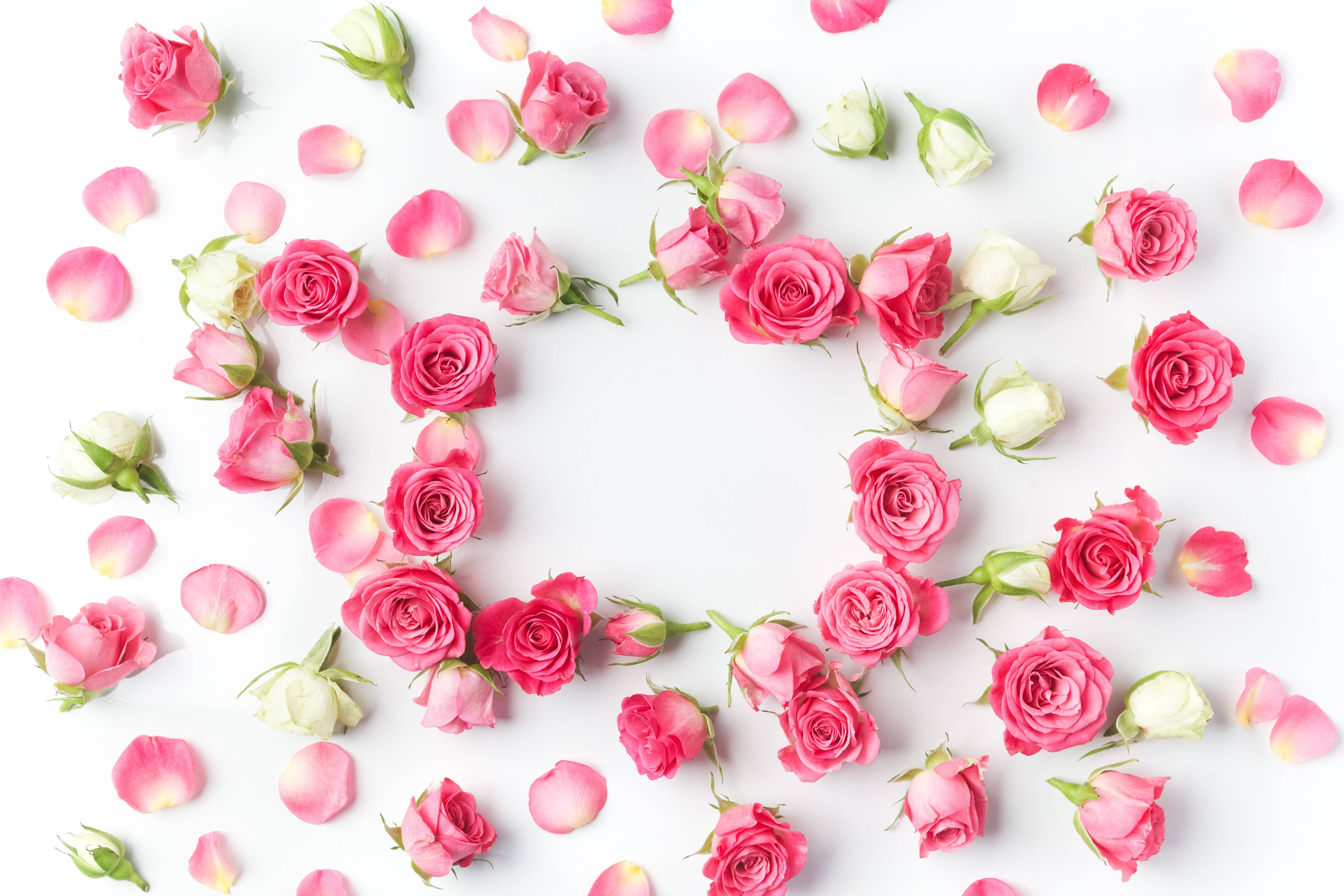 Pienk en Wit Blomblare Muurpapier