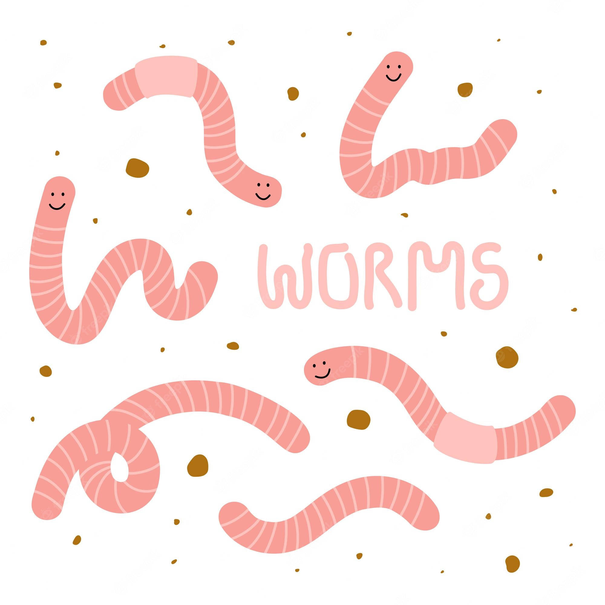 Pienk en Wit Wurm Illustrasie Muurpapier