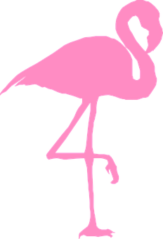 Pienk Flamink Silhoeët