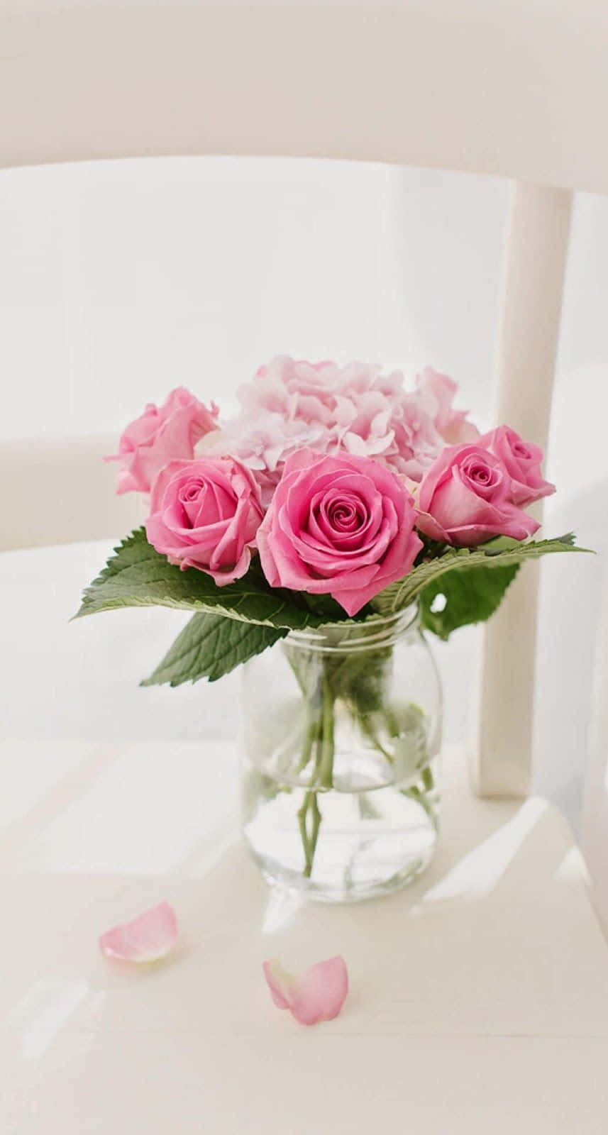 pienk rose in 'n vaas op 'n wit stoel Muurpapier