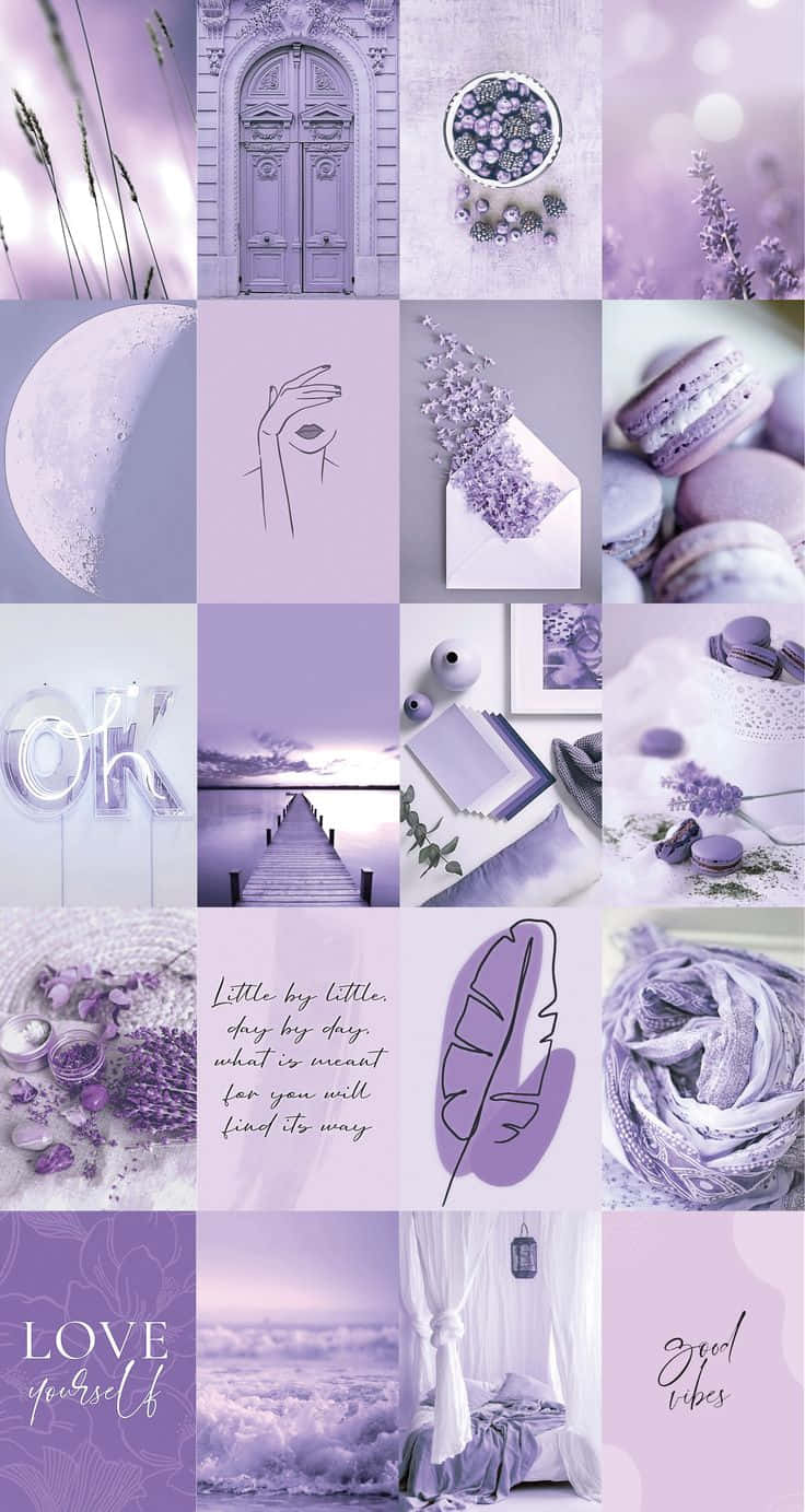 Pinterest Colla Lavender Pastel Pers Estetiese Agtergrond Muurpapier