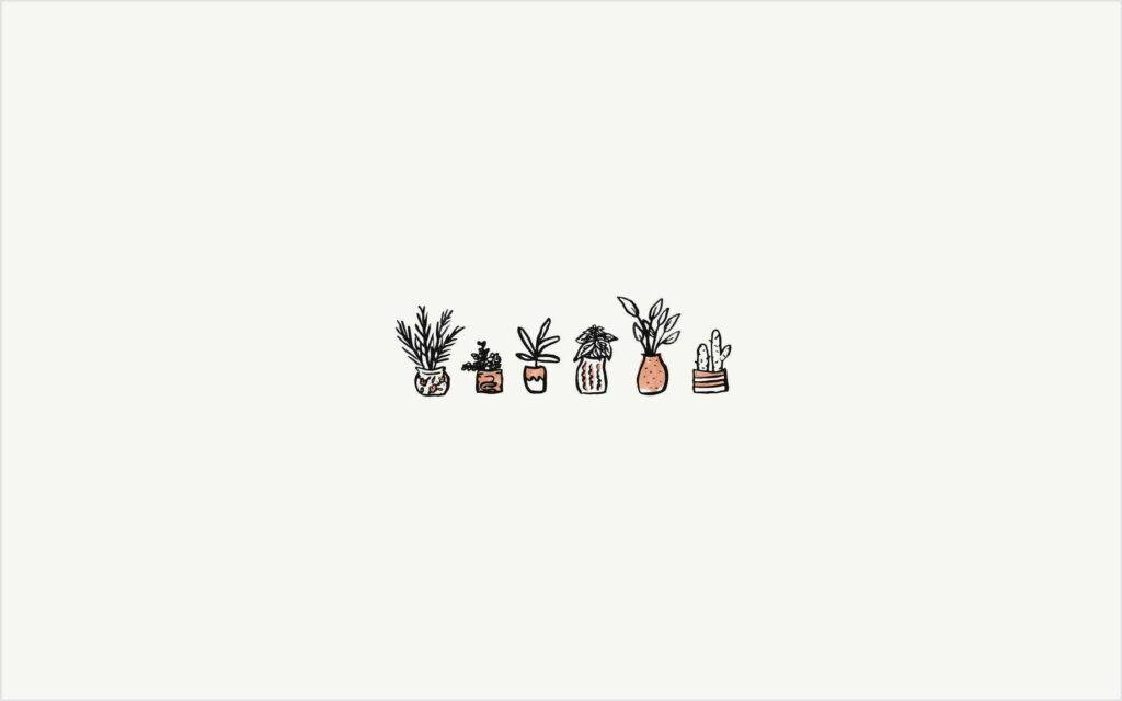 Pinterest Geïnspireerde Potted Plants Grafika Vir Skenkel Muurpapier