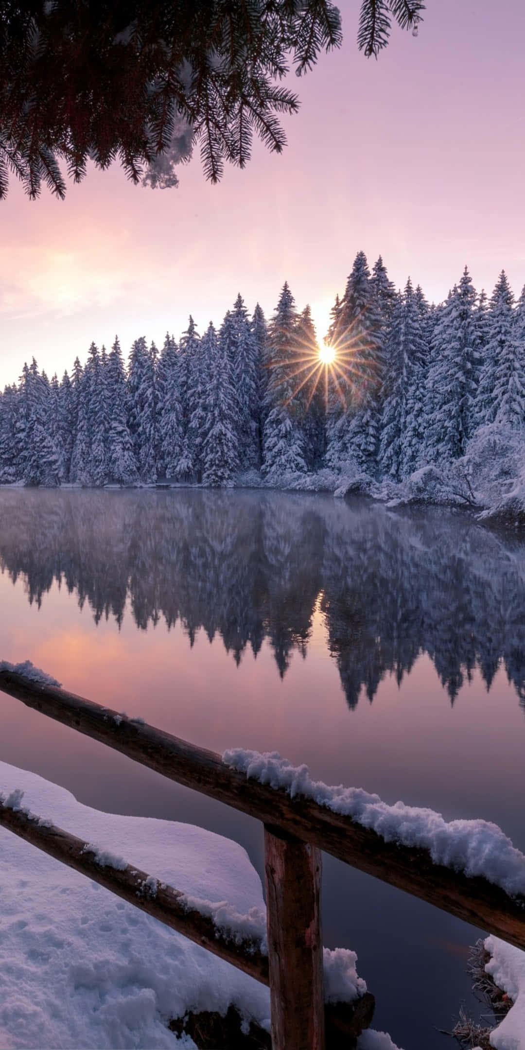 Pixel 3 Winter Agtergrand Ysige Rivier Langs Die Bos Muurpapier