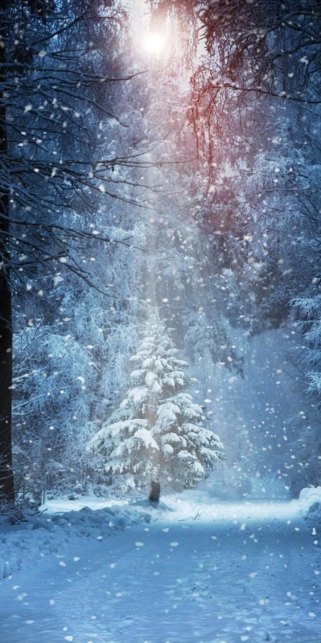 Pixel 3 Winteragtergrond Sneeubedekte Boom Met 'n Kollig Muurpapier