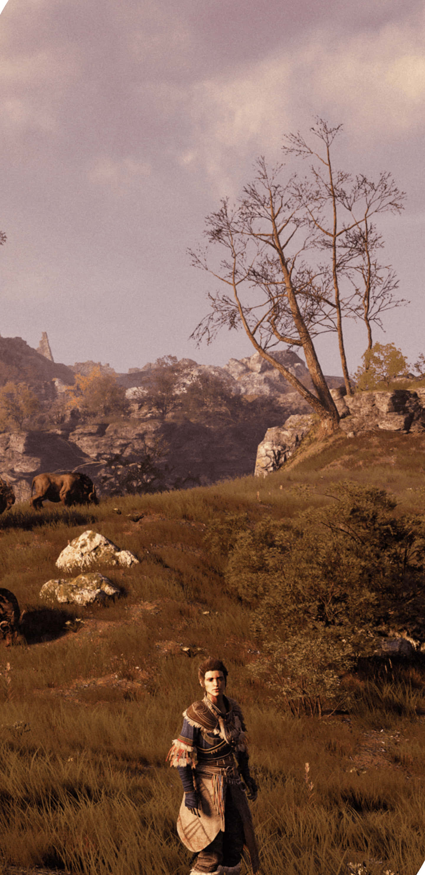 Pixel 3xl Greedfall Ontmoet Siora Agtergrond Muurpapier