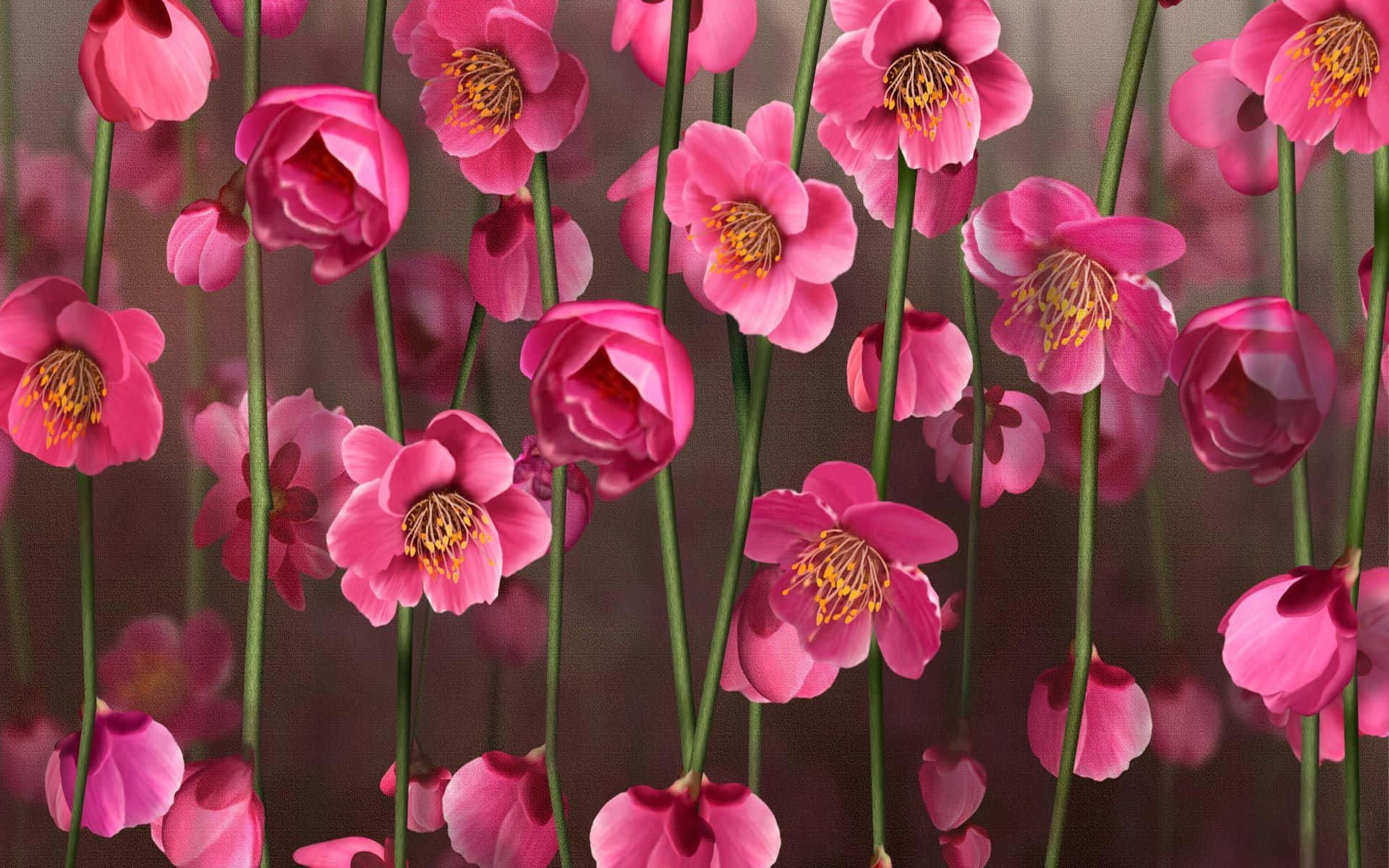 Pluizige Pienk Blomme-agtergrond Muurpapier