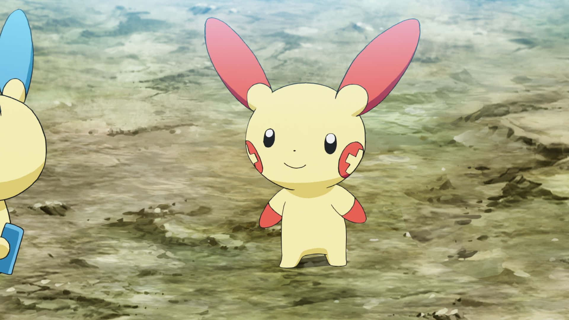 Plusle op Land Muurpapier