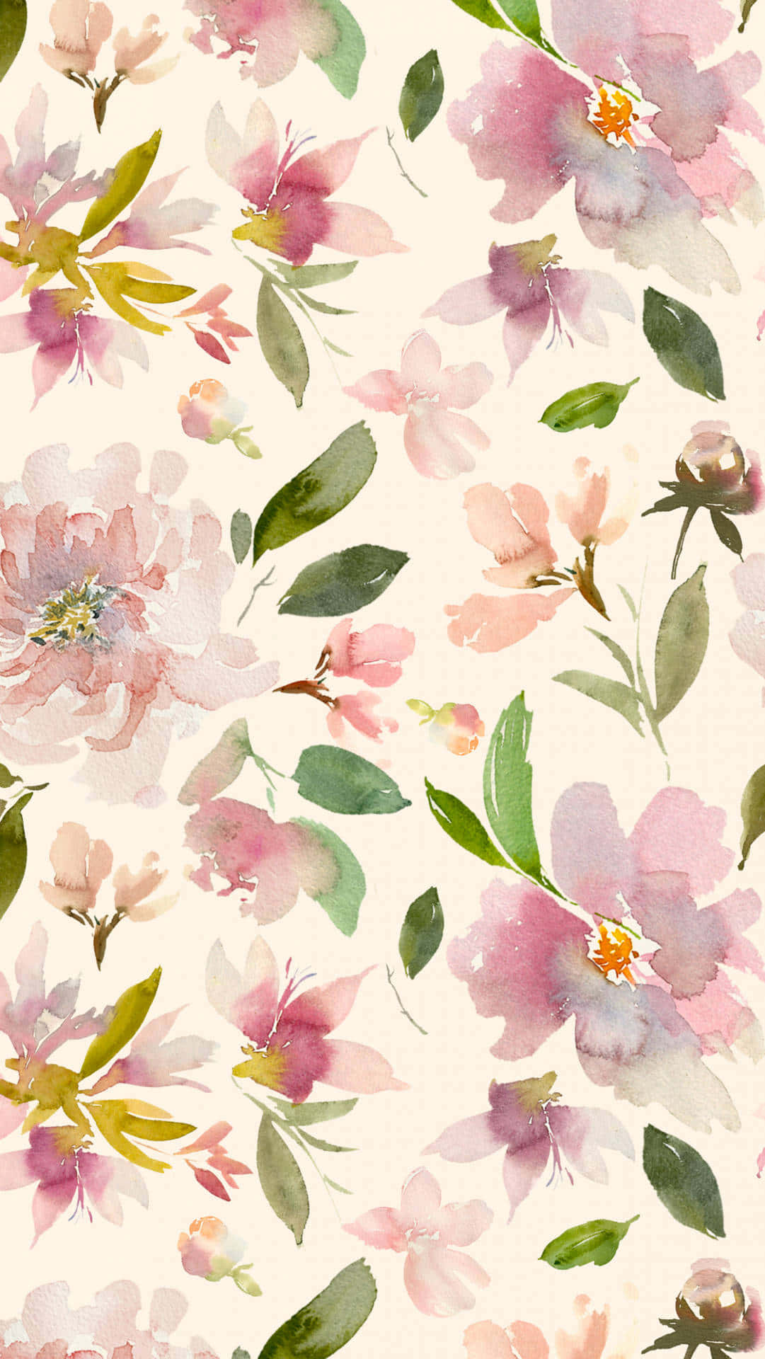 Pragtige Blombloei Foongrond Muurpapier