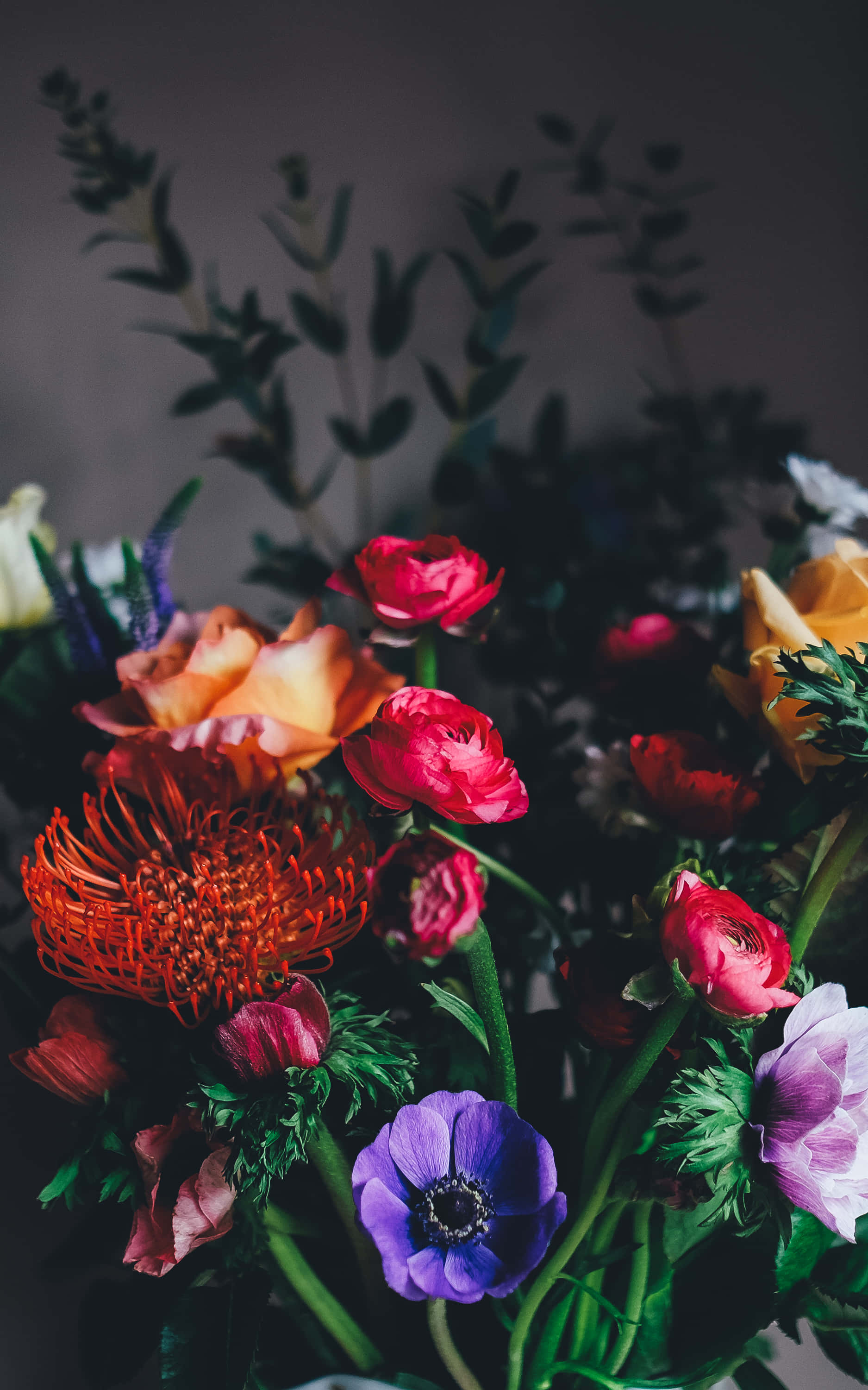 Pragtige Blomende Blomme Foonagtergrond Muurpapier