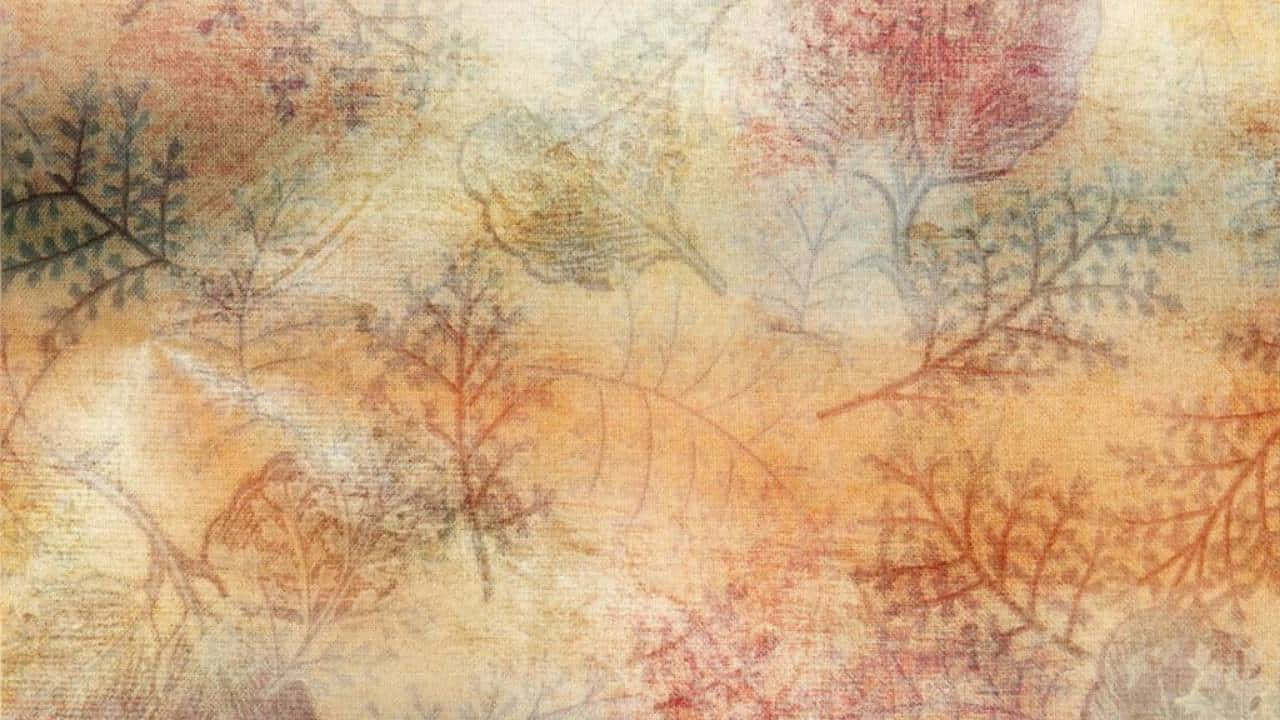 Pragtige Natuur Landskap Muurpapier