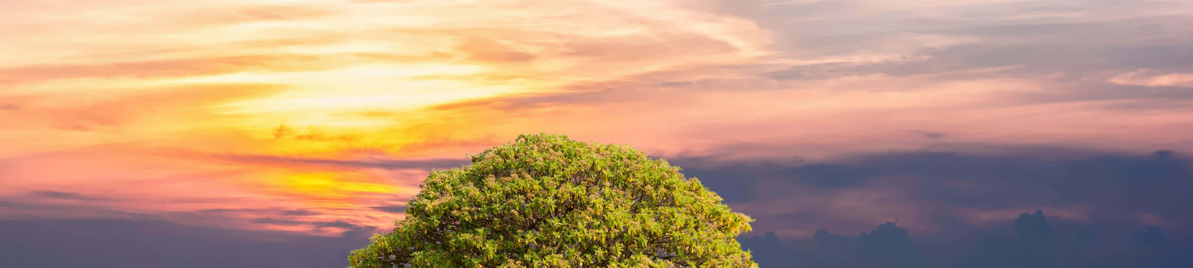 Pragtige Natuur teen Sondergang Muurpapier