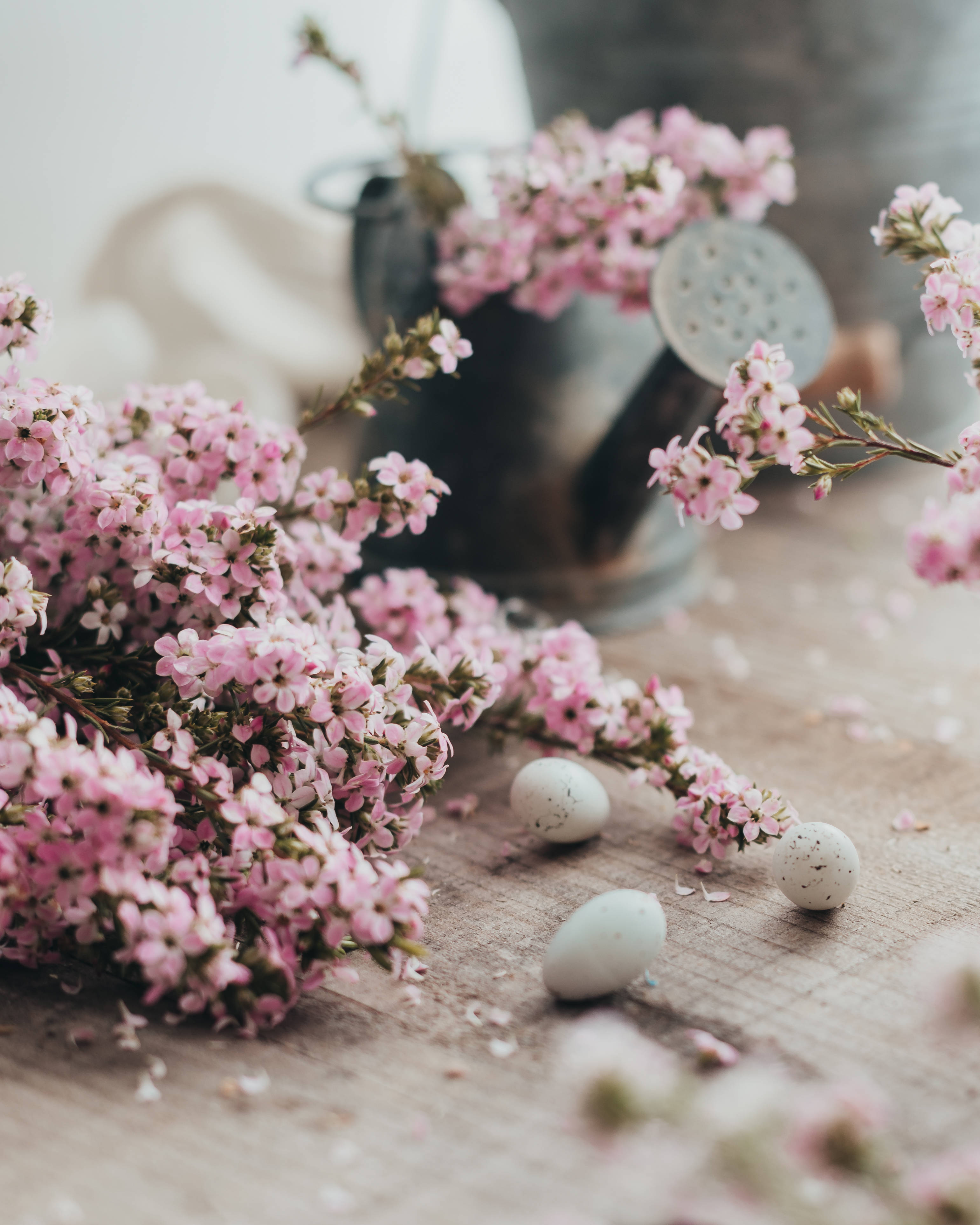 "Pragtige pienk blomme en Paasfaseleiers bring die vrolike viering van Paasfees." Muurpapier