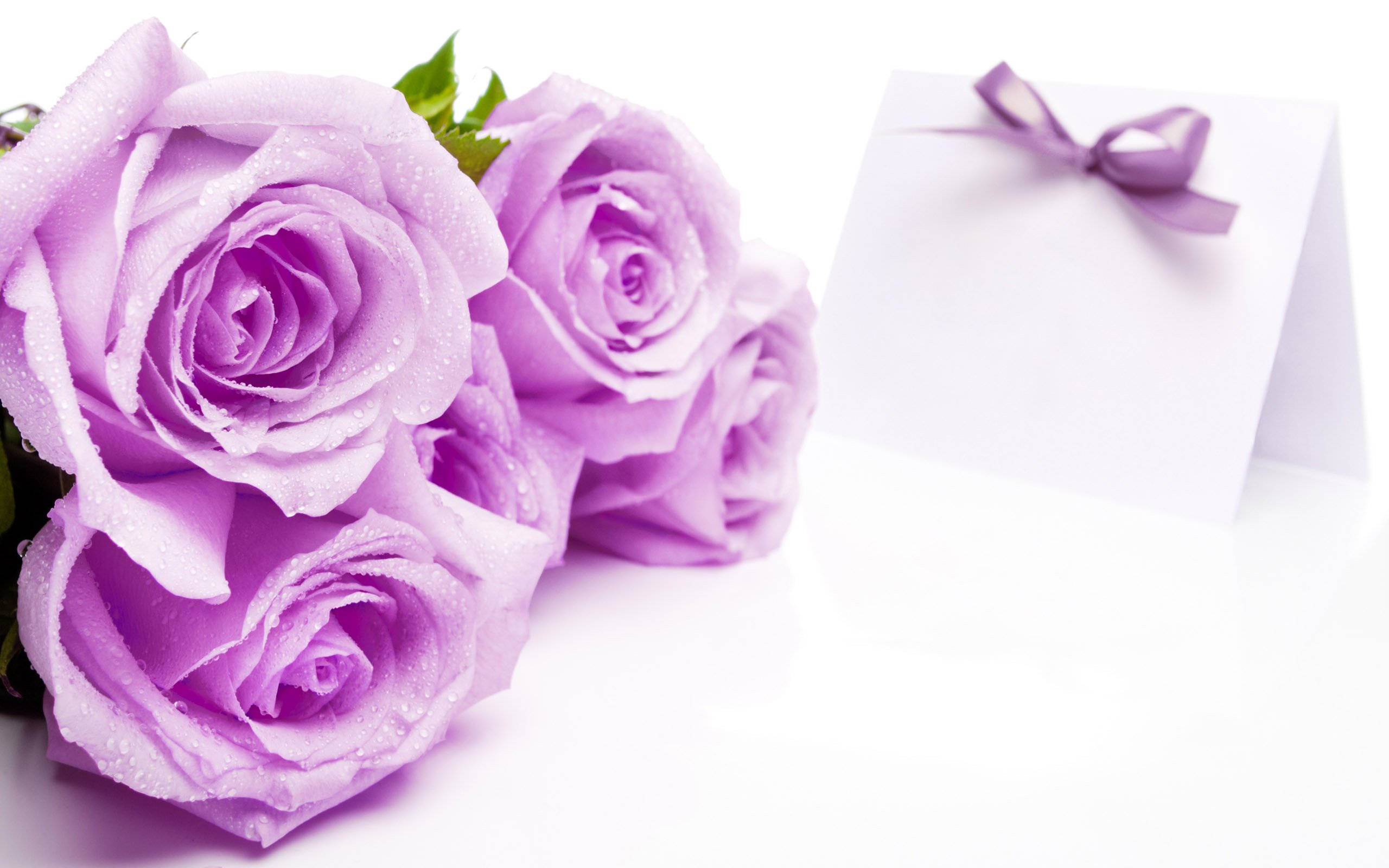 Pragtige Roosblomme Ligpers Muurpapier