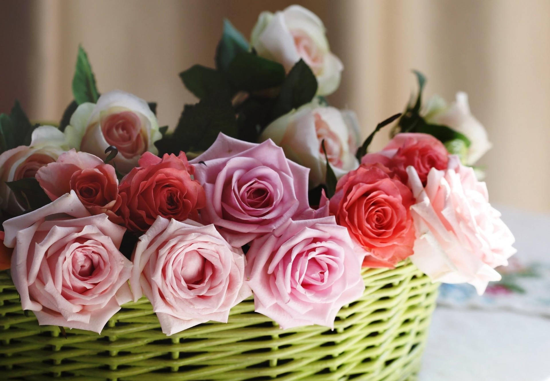 Pragtige ruiker van skerp rose — Blom GIF Muurpapier