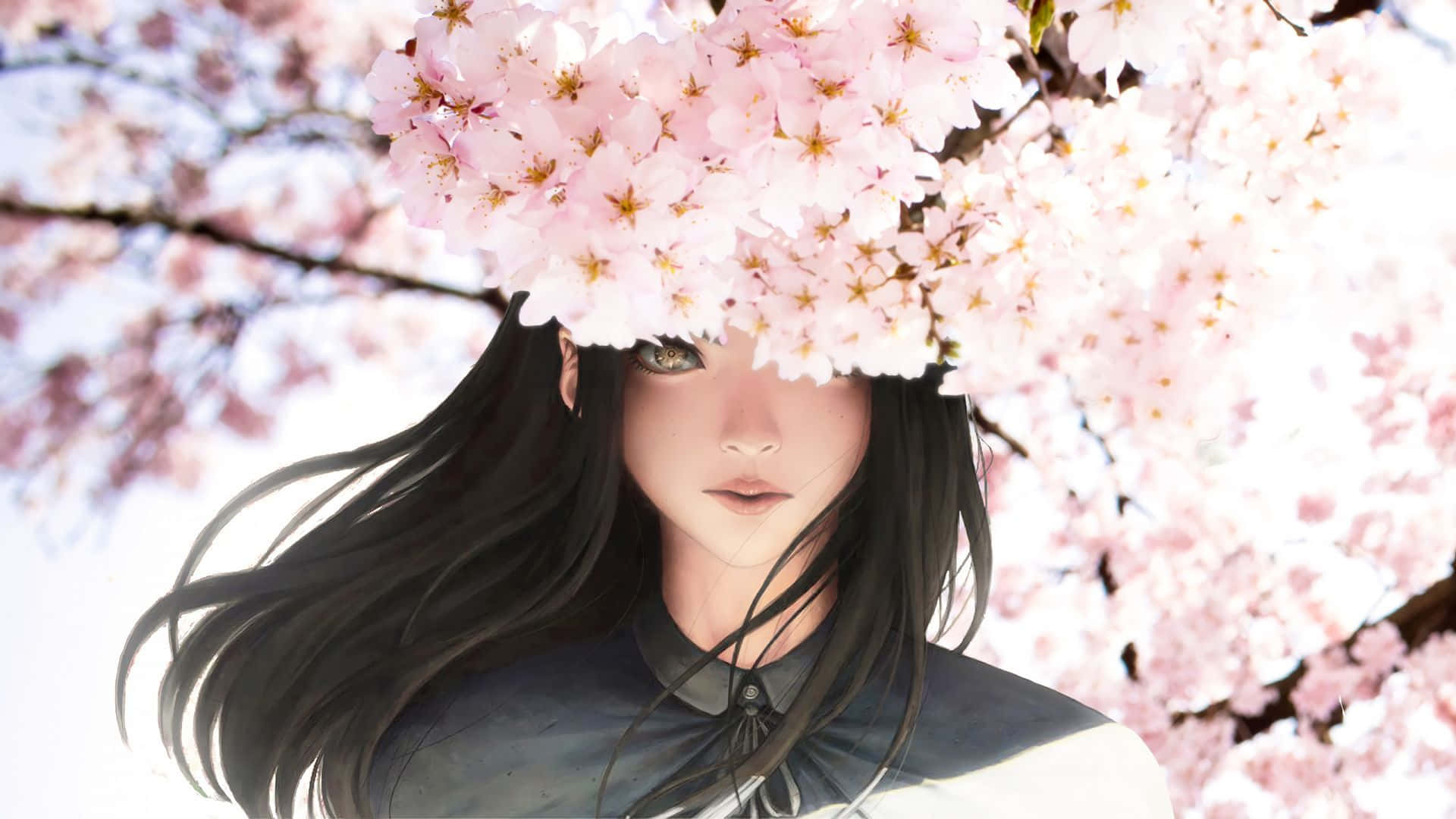 Pragtige Swartharige Meisie Met Sakura Anime Blomme Muurpapier