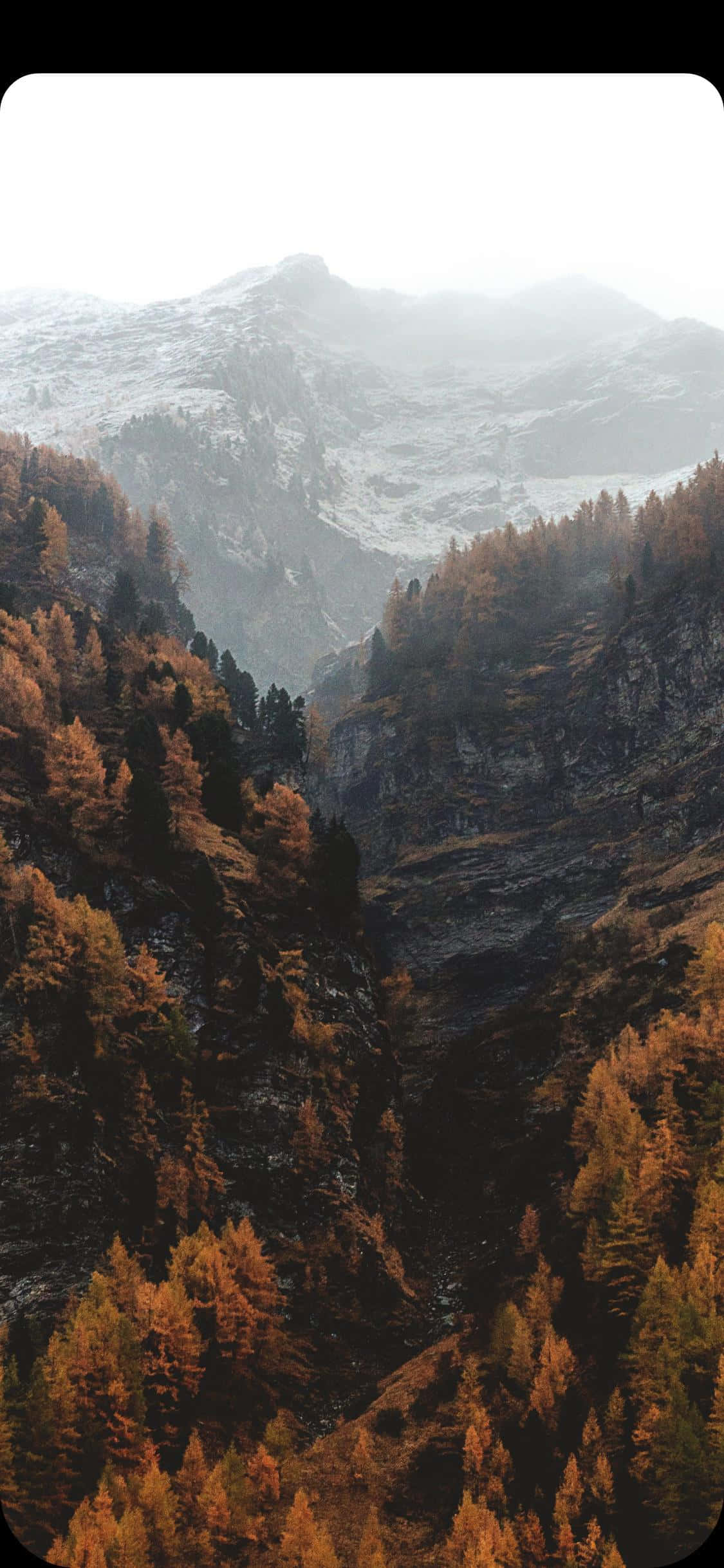 Pragtige Waterval in 'n Welige Groen Woud Muurpapier