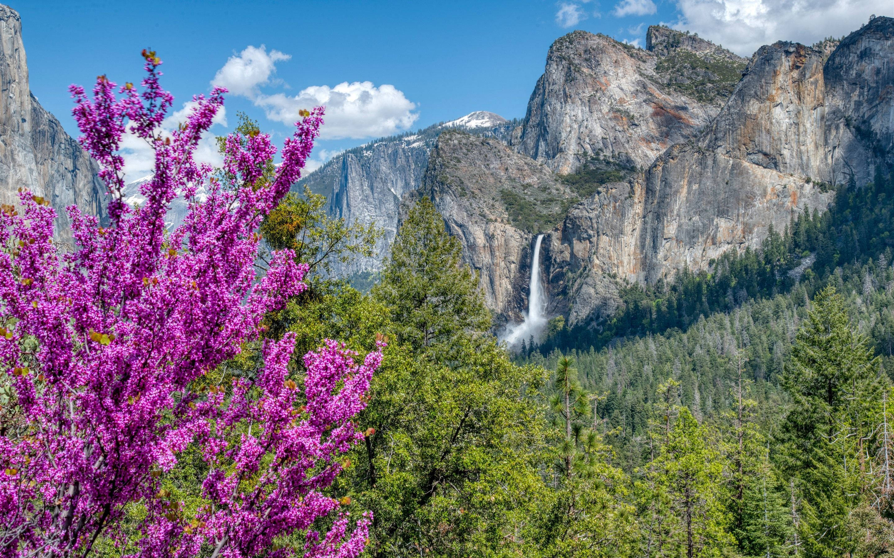 Pragtige Waterval Yosemite Muurpapier