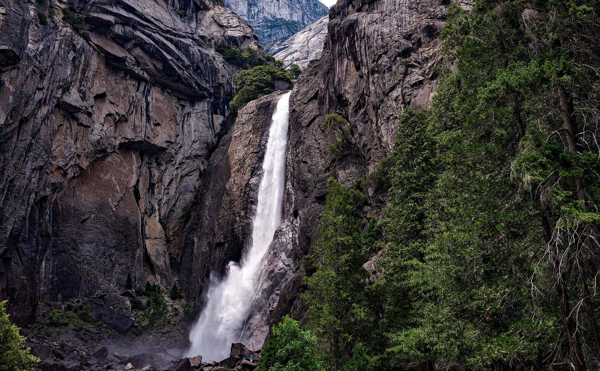 Pragtige Yosemite Waterval In Die Bos Prent Muurpapier
