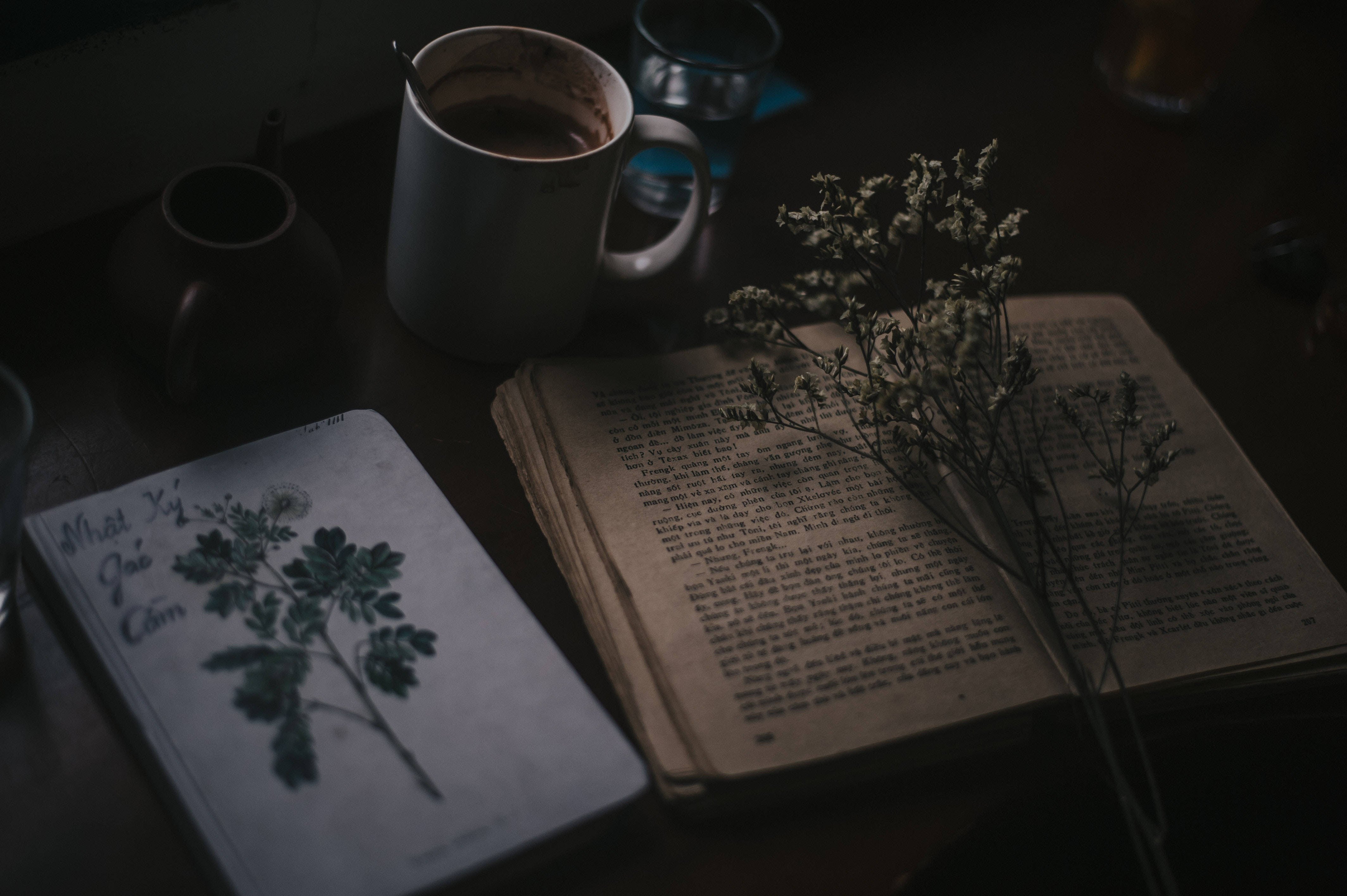 Preppy Estetiek Boeke Plante Muurpapier