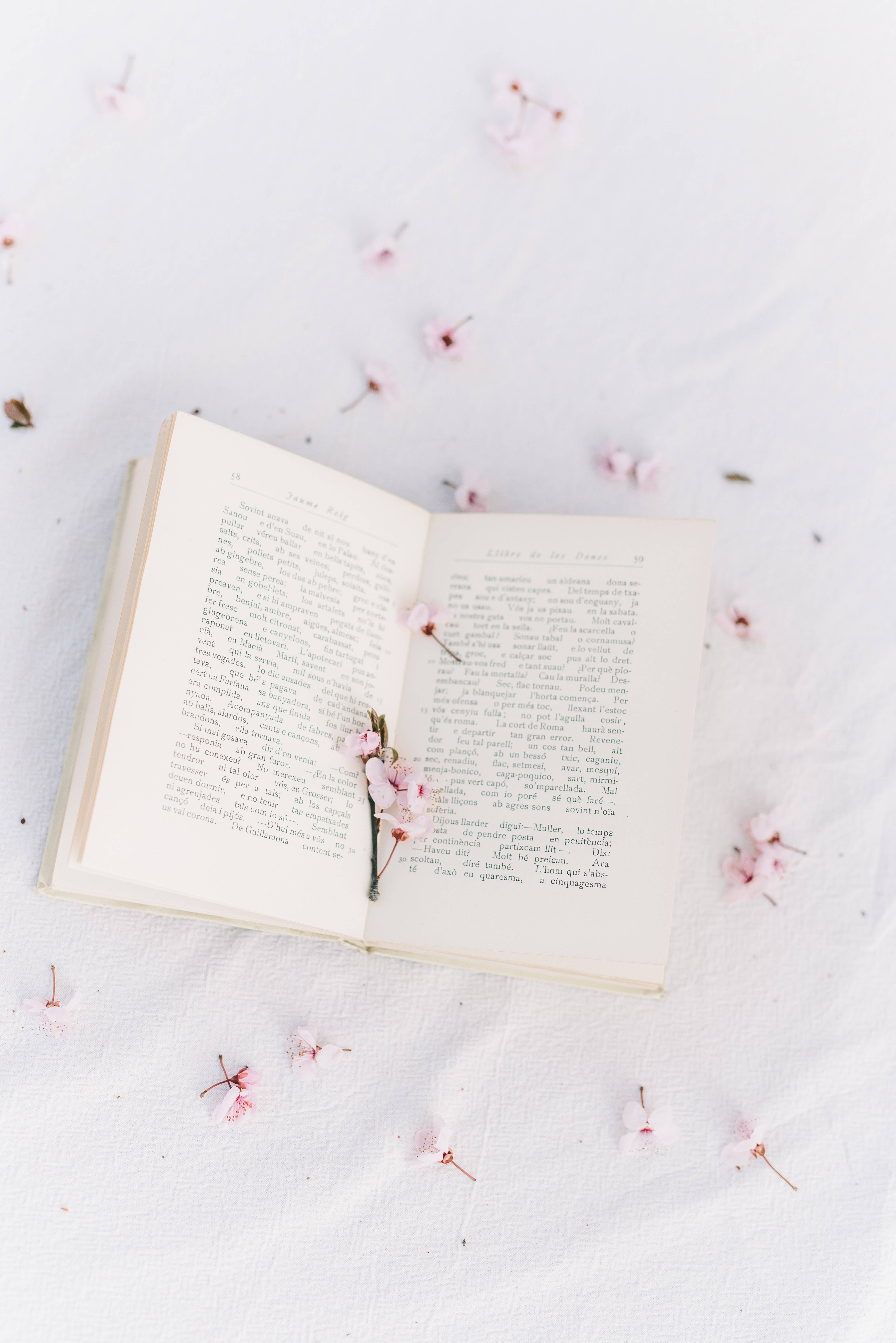 Preppy Estetiese Sakura Boek Muurpapier