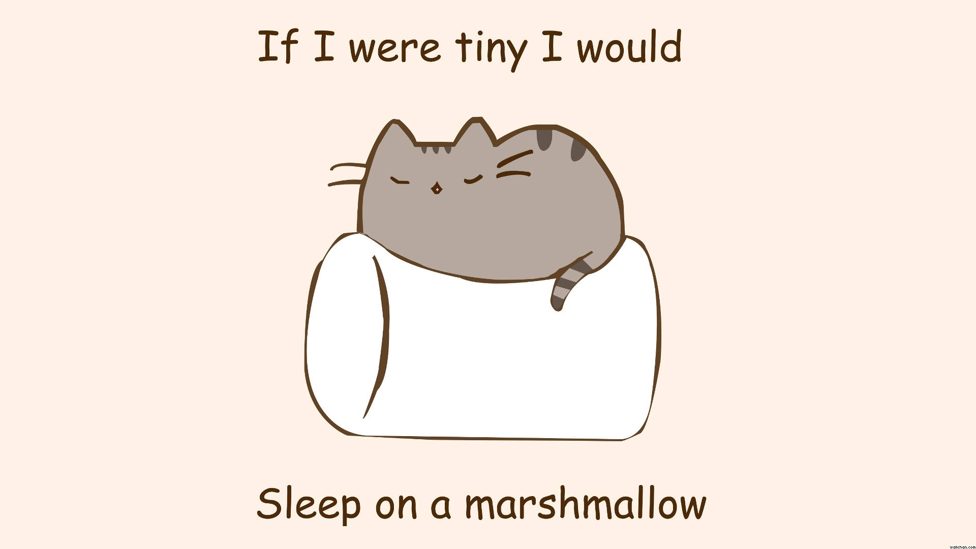 Pusheen wat op malvalekker slaap Muurpapier