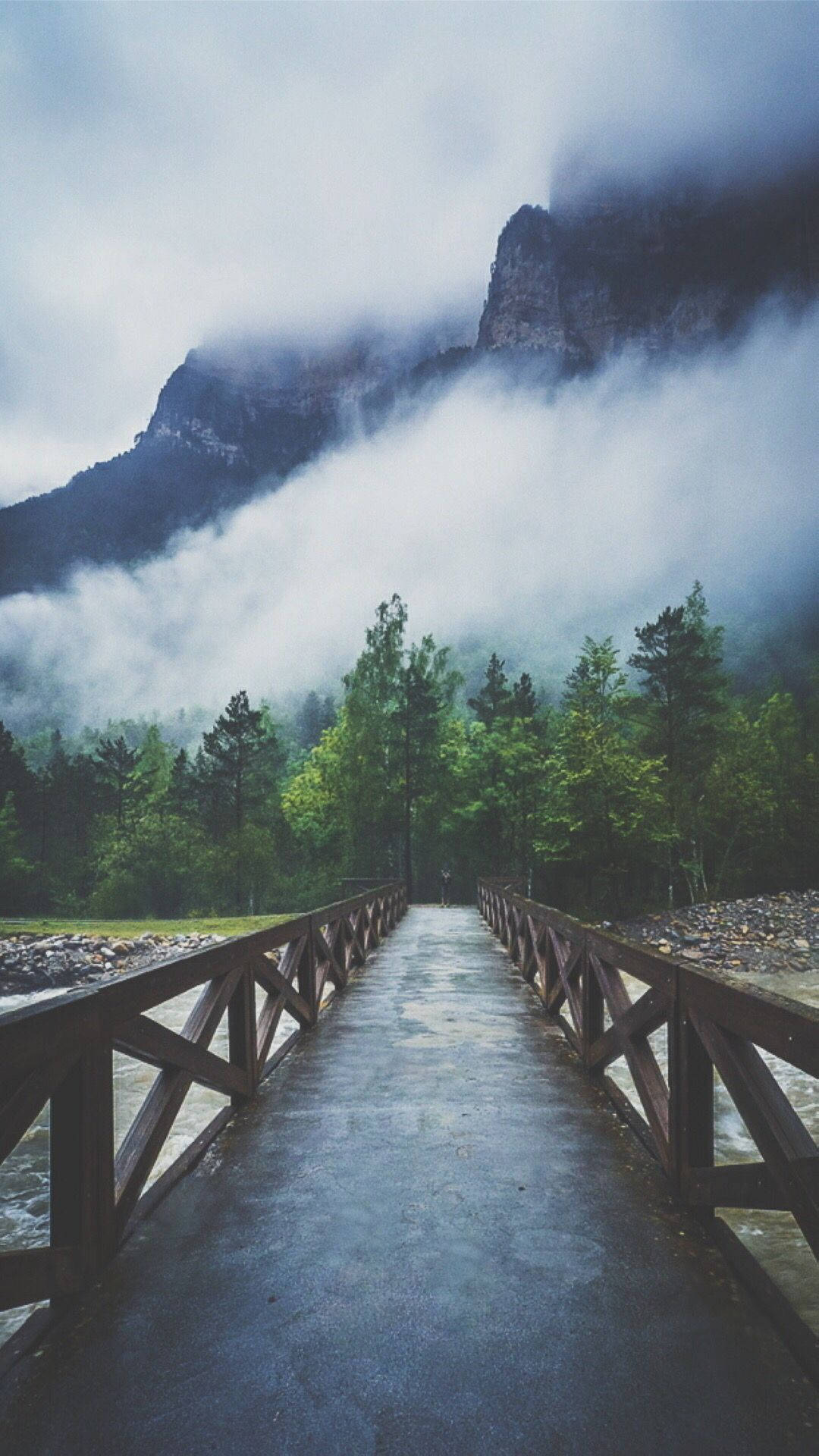 Brug oor rivier na bos iPhone-agtergrond