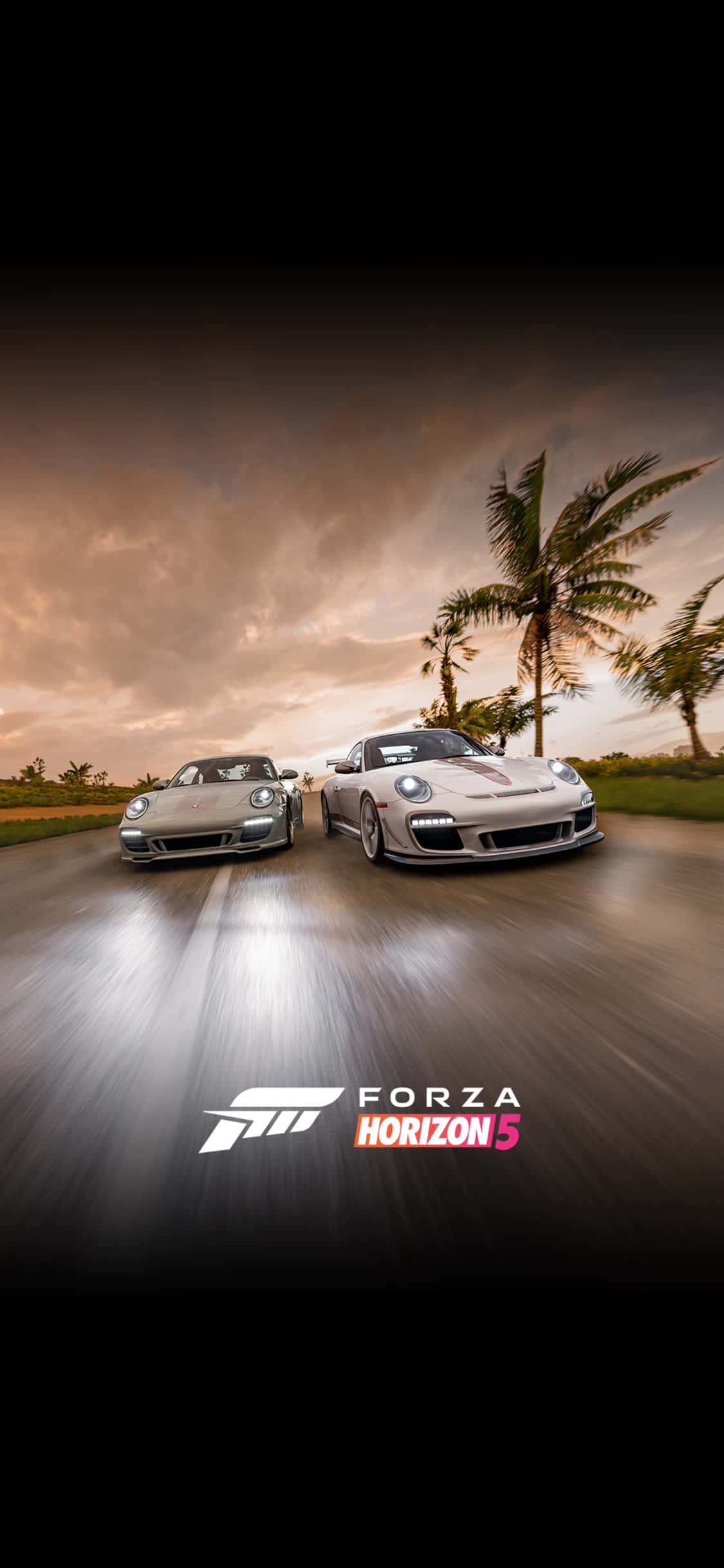 Ravensburger Porsche iPhone X Forza Motorsport 7 Agtergrond Muurpapier
