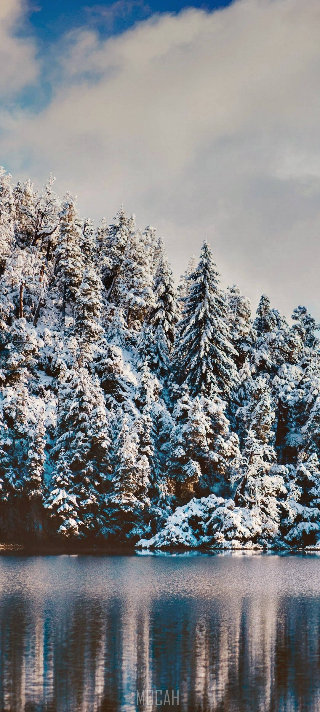 Realme 7 Pro Sneeuwoud Muurpapier