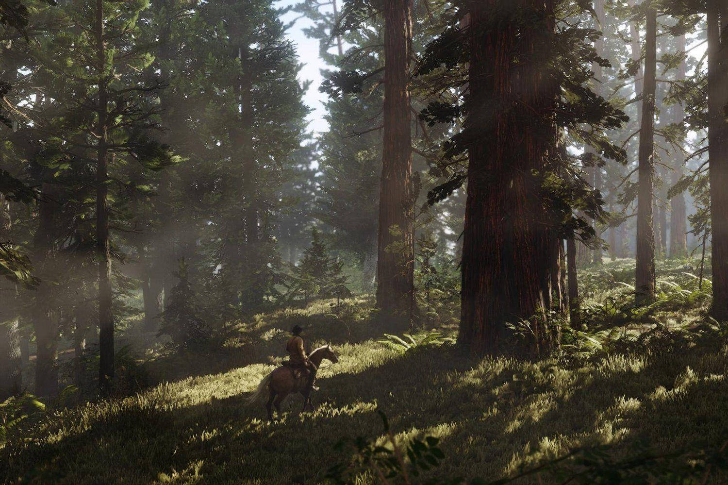 Red Dead Redemption 2 4K Bos Muurpapier