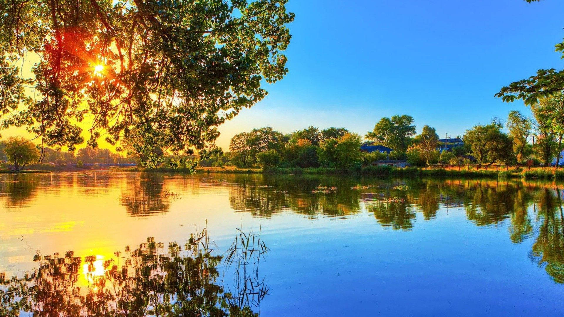 Rivier en Bome Natuur agtergrond