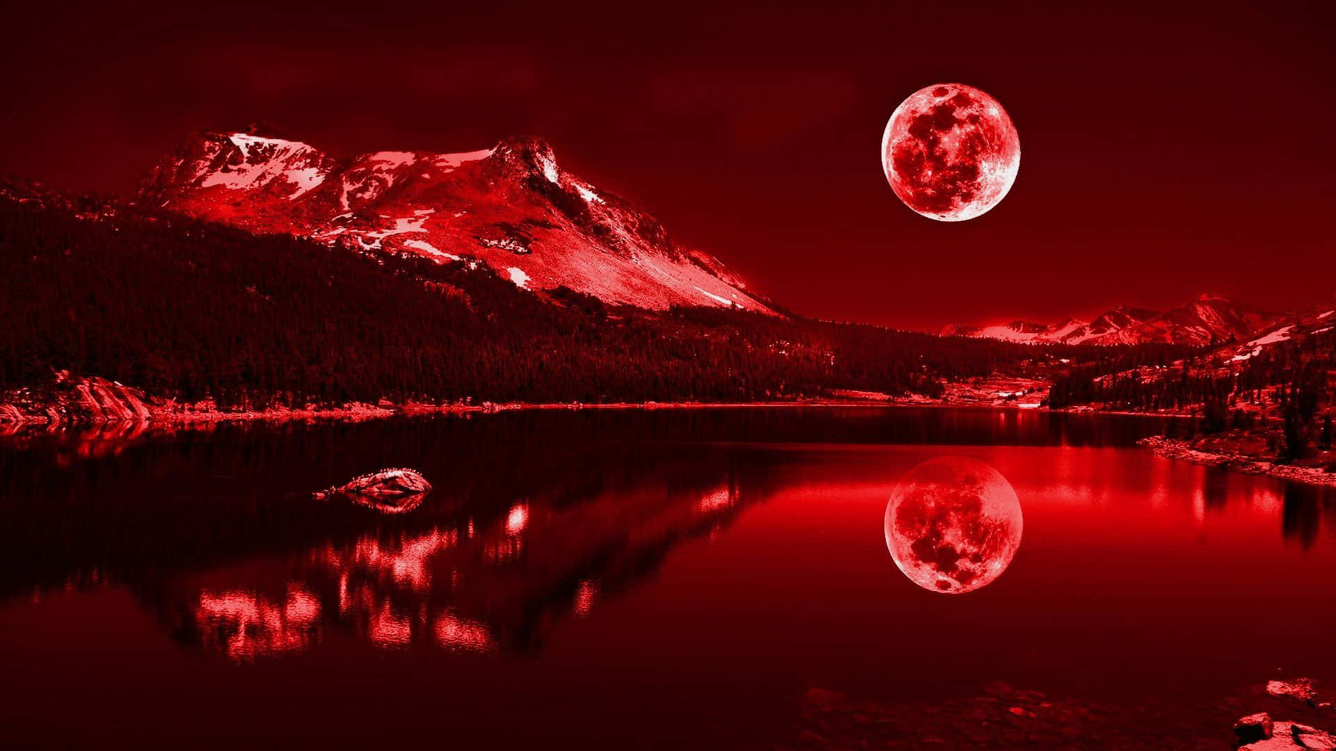 Rooi 1920x1080 Muurpapier