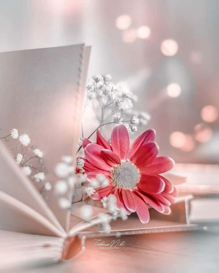 Rooi en Silwer Blomme Pragtige Profielfoto Muurpapier