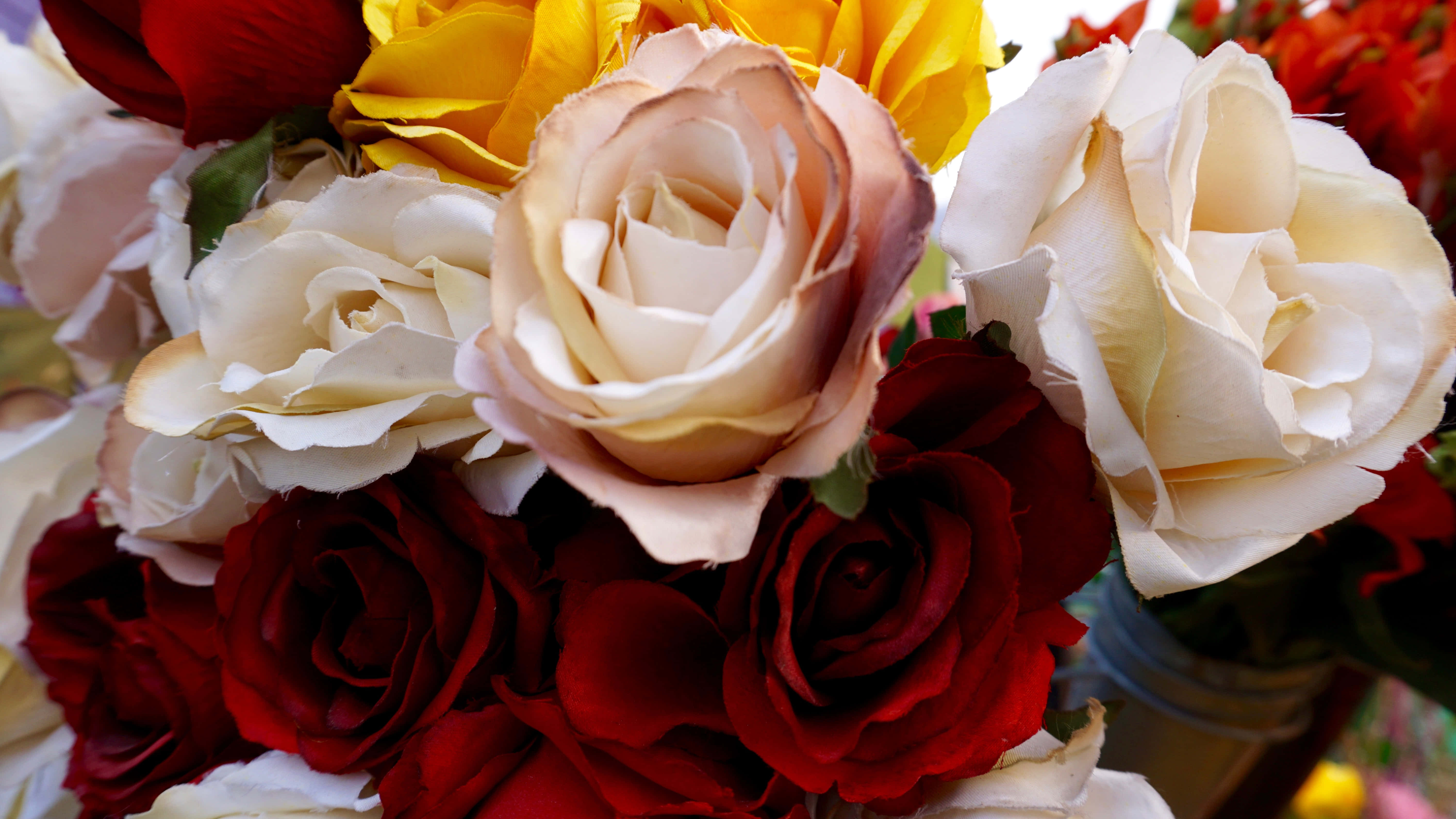 Rooi en Wit Rose in 'n Blommerangskikking Muurpapier