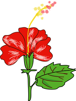 Rooi Hibiskus Vektor Illustrasie Muurpapier