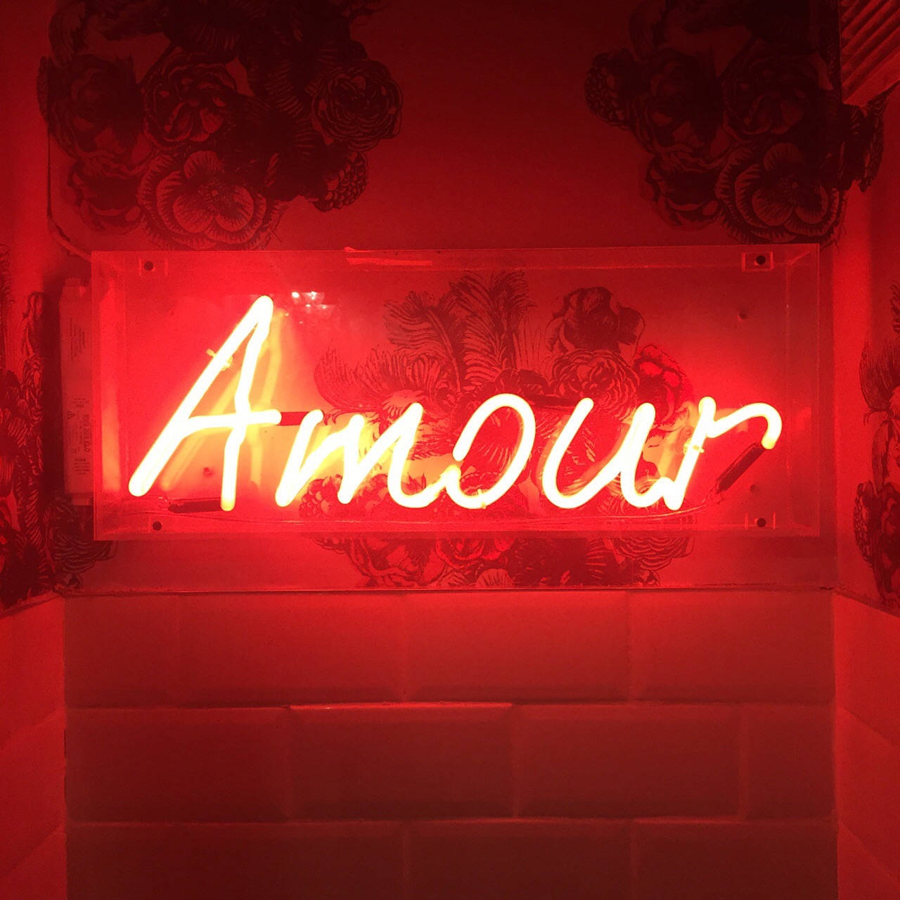 Rooi Neon Amour Estetika Muurpapier