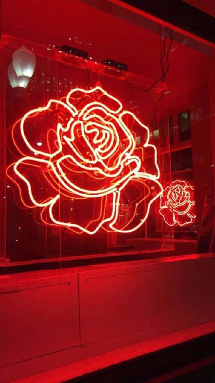 Rooi Neon Blomteken Donkerrooi Estetika Muurpapier