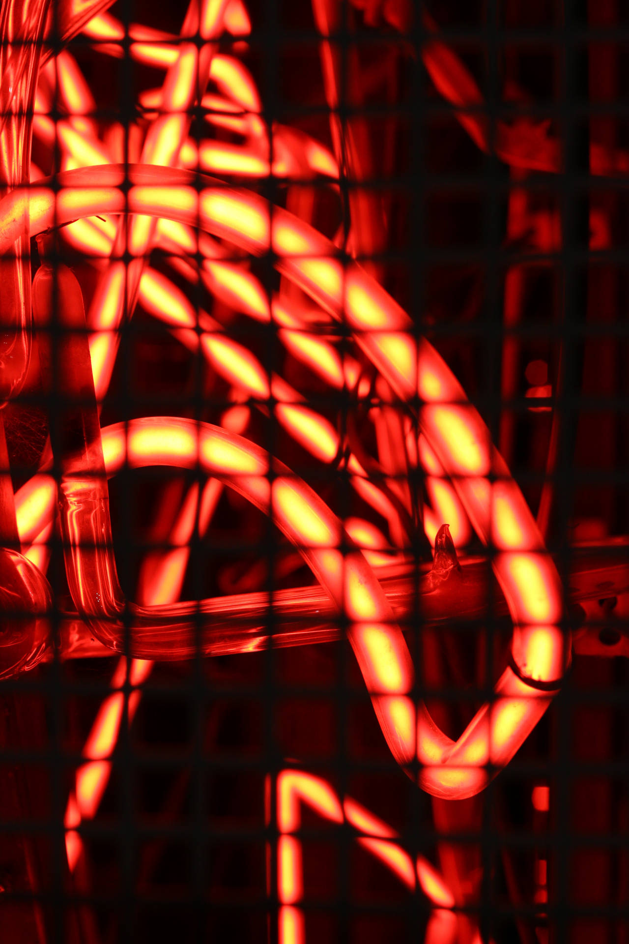 Rooi Neon Maas agtergrond