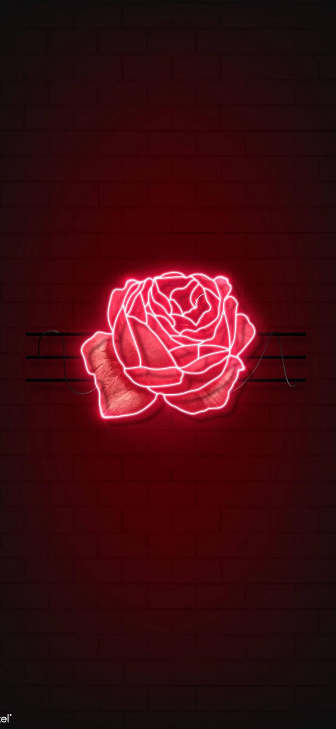 Rooi Roos LED Lig Muurpapier