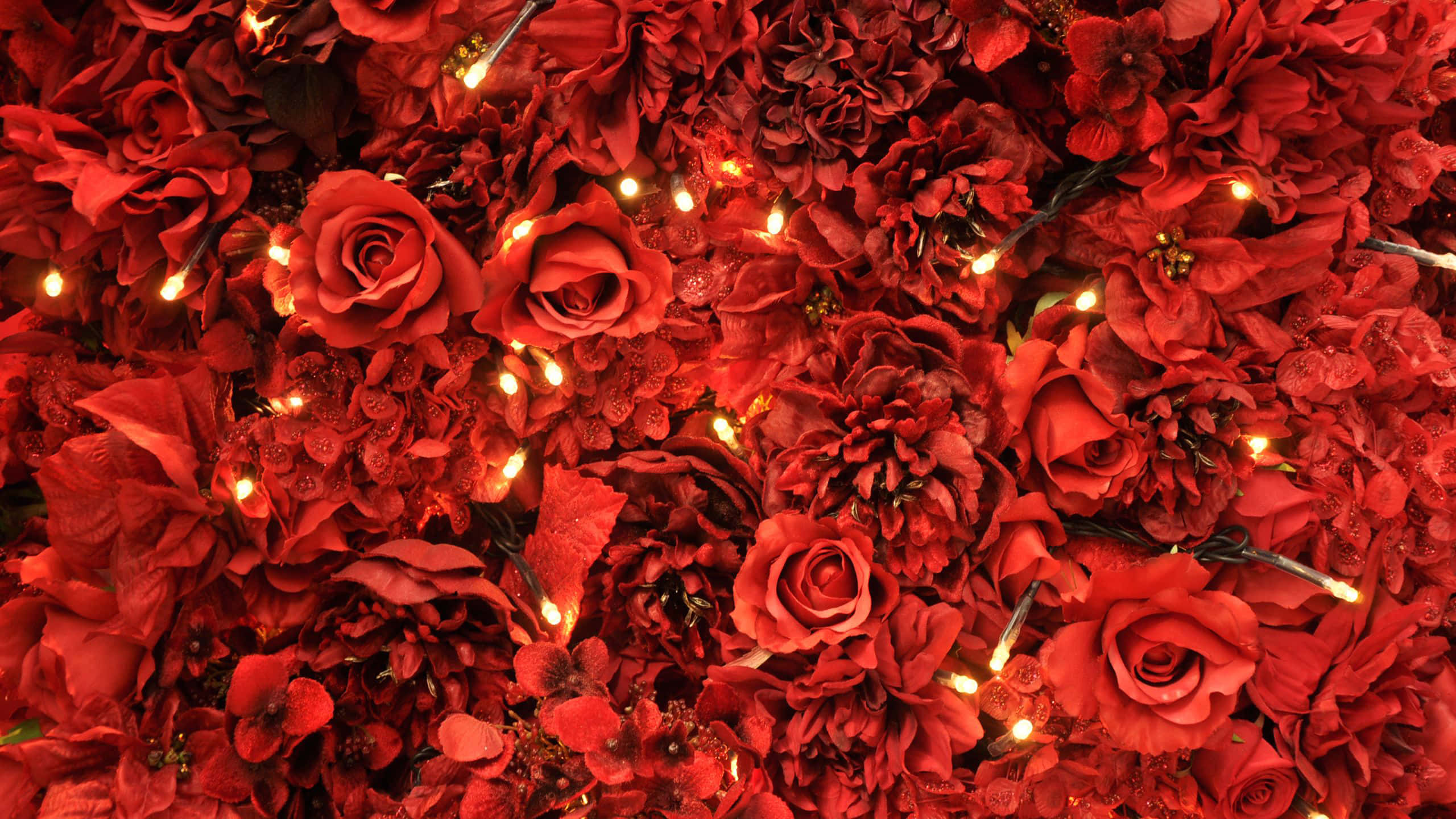 Rooi Rose Estetiese Rooi Prent Muurpapier