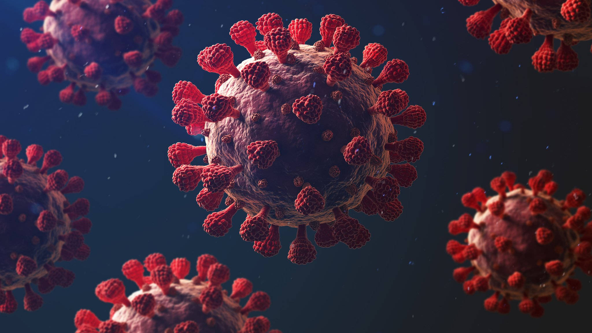 Rooi-Spits Koronavirus Muurpapier