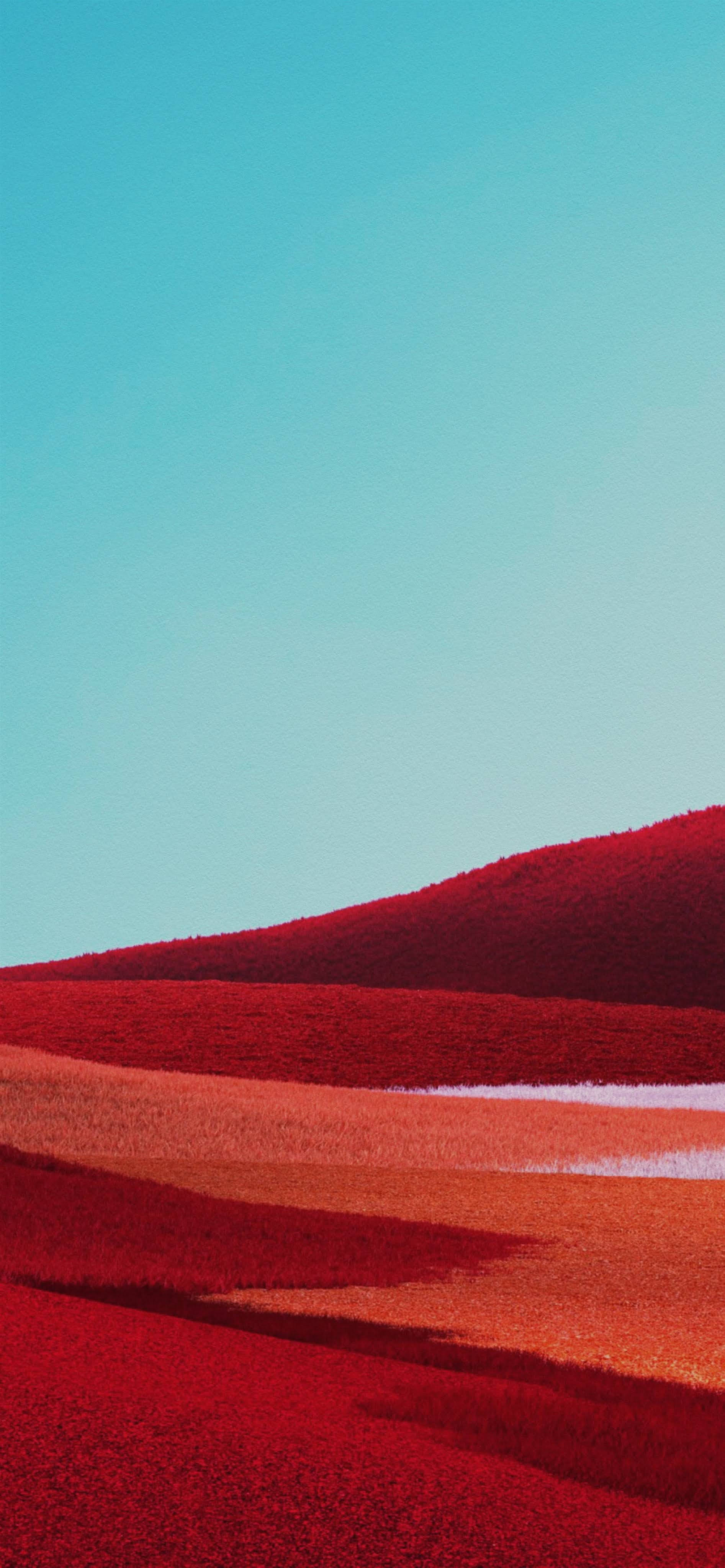 Rooi Veld Google Pixel 4 Agtergrond Muurpapier
