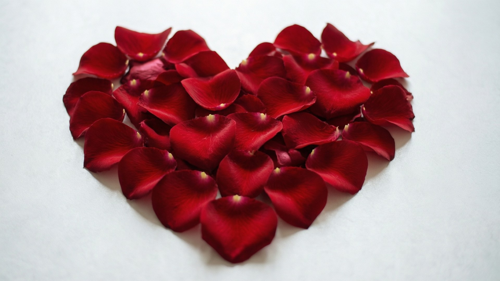 Roosblaar Hart Muurpapier