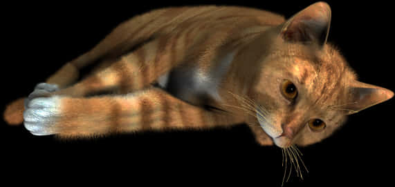 Rusende Oranje Tabby Kat Swart Agtergrond Muurpapier