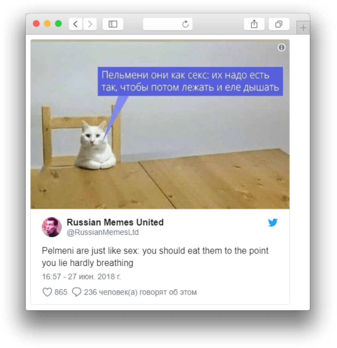 Russiese Kat Meme Pelmeni Vergelyking Muurpapier