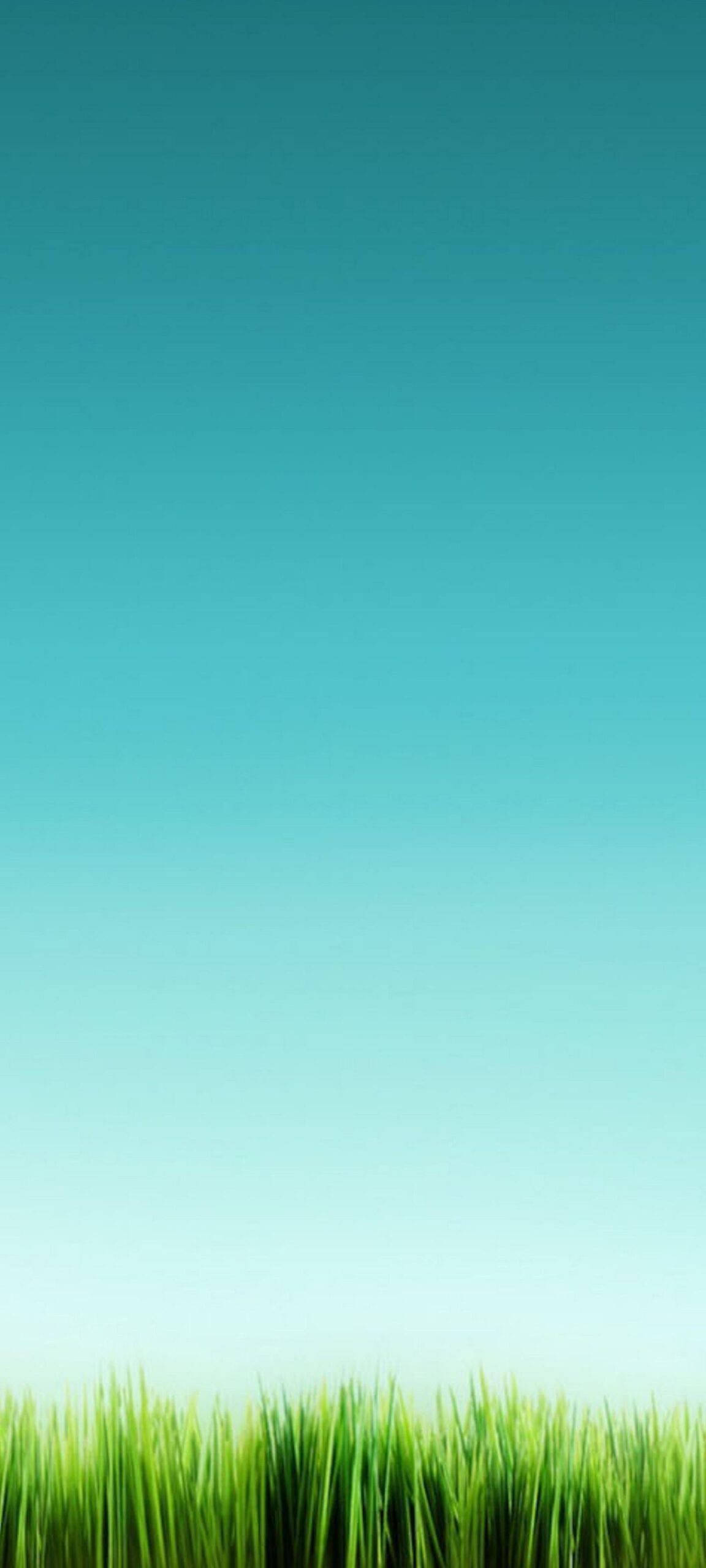 Rustige Horison vir OnePlus 8 Pro Muurpapier